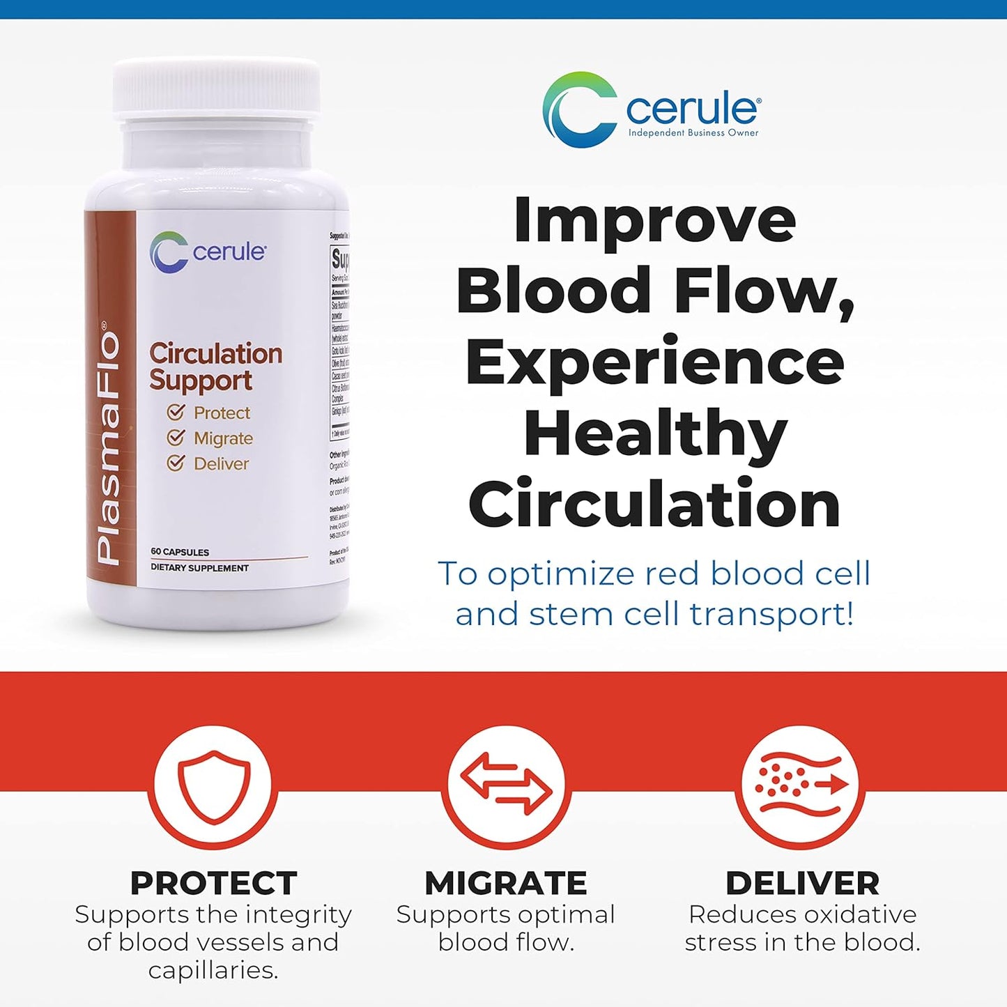 Cerule Stem Cell Support Supplement with Freshwater Microalgae and Marine Macroalgae for Healing & Stem Cell Production