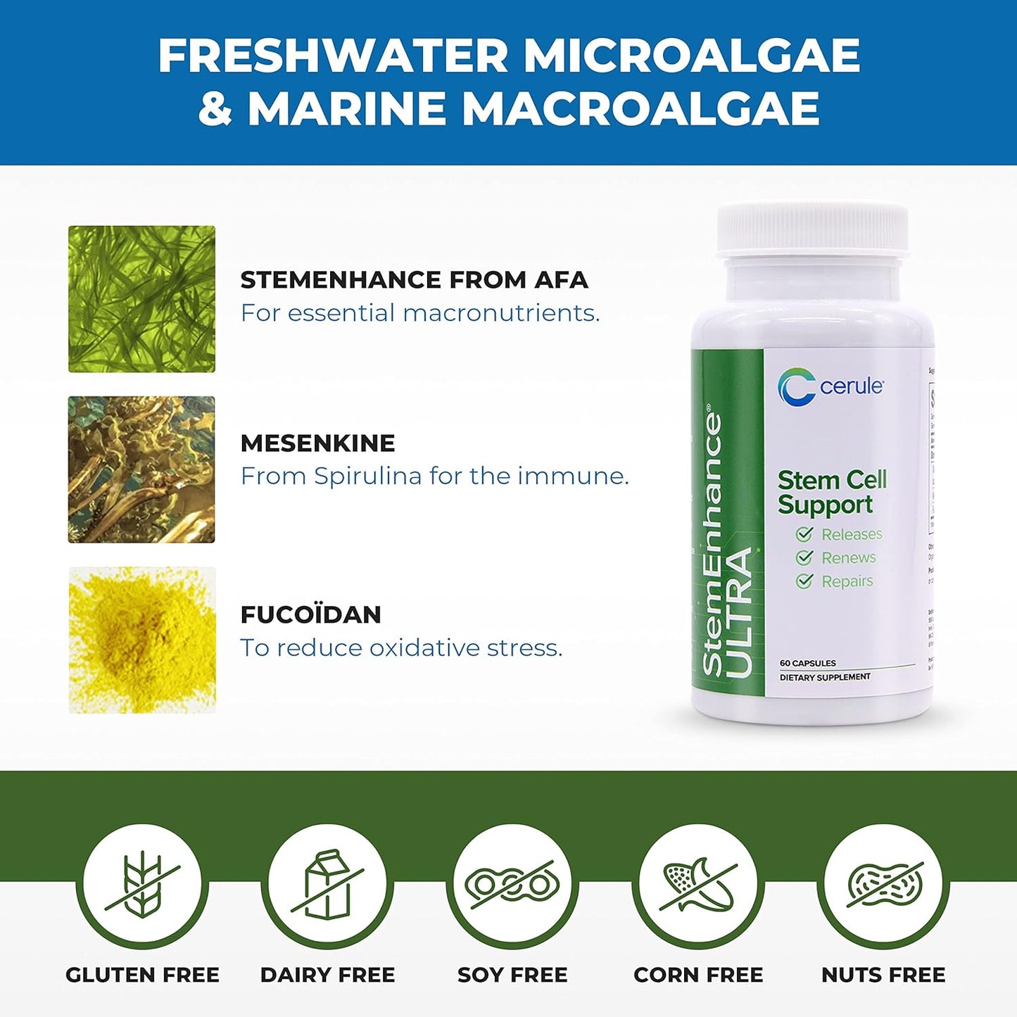 Cerule Stem Cell Support Supplement with Freshwater Microalgae and Marine Macroalgae for Healing & Stem Cell Production