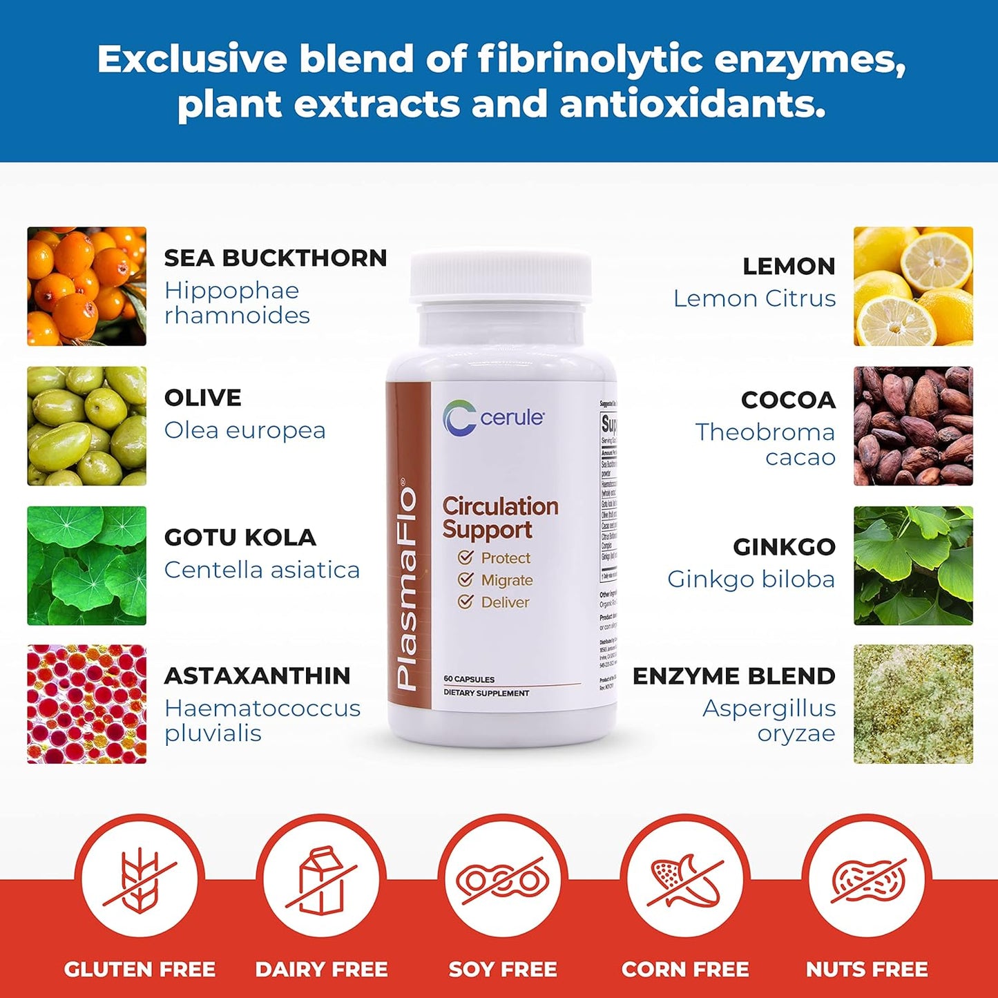 Cerule Stem Cell Support Supplement with Freshwater Microalgae and Marine Macroalgae for Healing & Stem Cell Production