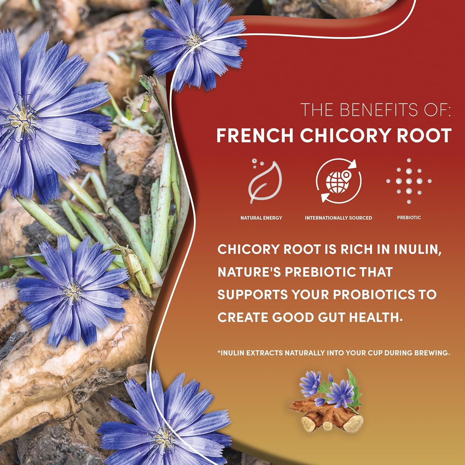 Chaga Ashwagandha Tea & Coffee Alternative Bundle - Butterscotch Cream Flavor, Caffeine-Free, Acid-Free, Adaptogenic Herbal Mushroom Drink