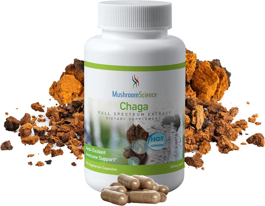 Chaga Mushroom Capsules - Full Spectrum Extract - Natural Antioxidant Supplement - Vegetarian - 300MG, 90 CT