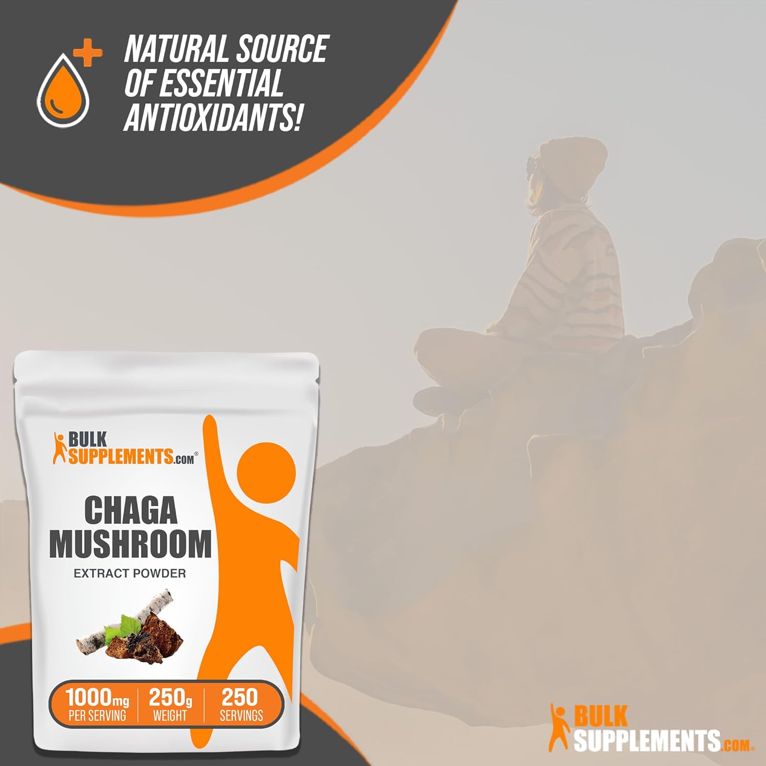 Chaga Mushroom Extract Powder - Immune Support, Gluten Free - 250g (8.8 oz) Pack of 1 - 1000mg per Serving