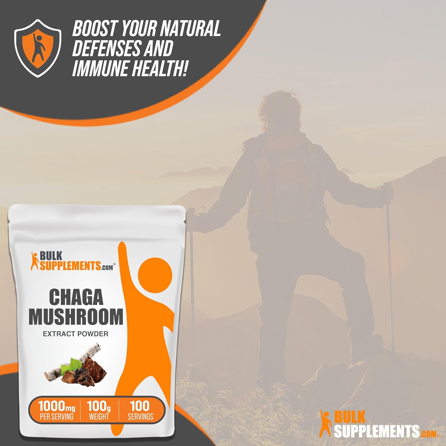 Chaga Mushroom Extract Powder - Immune Support, Gluten Free - 250g (8.8 oz) Pack of 1 - 1000mg per Serving