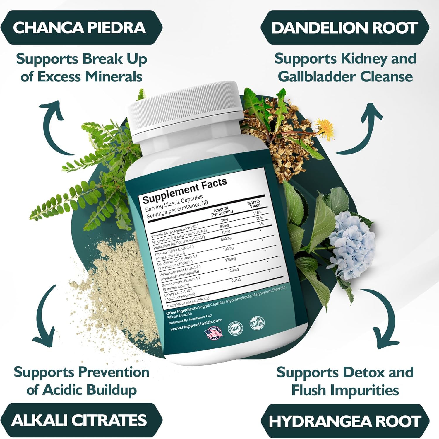 Chanca Piedra Stone Breaker Kidney & Gallbladder Cleanse - Natural Kidney Stone Dissolver - Phyllanthus Niruri Supplement with Magnesium & Potassium - 60 Capsules