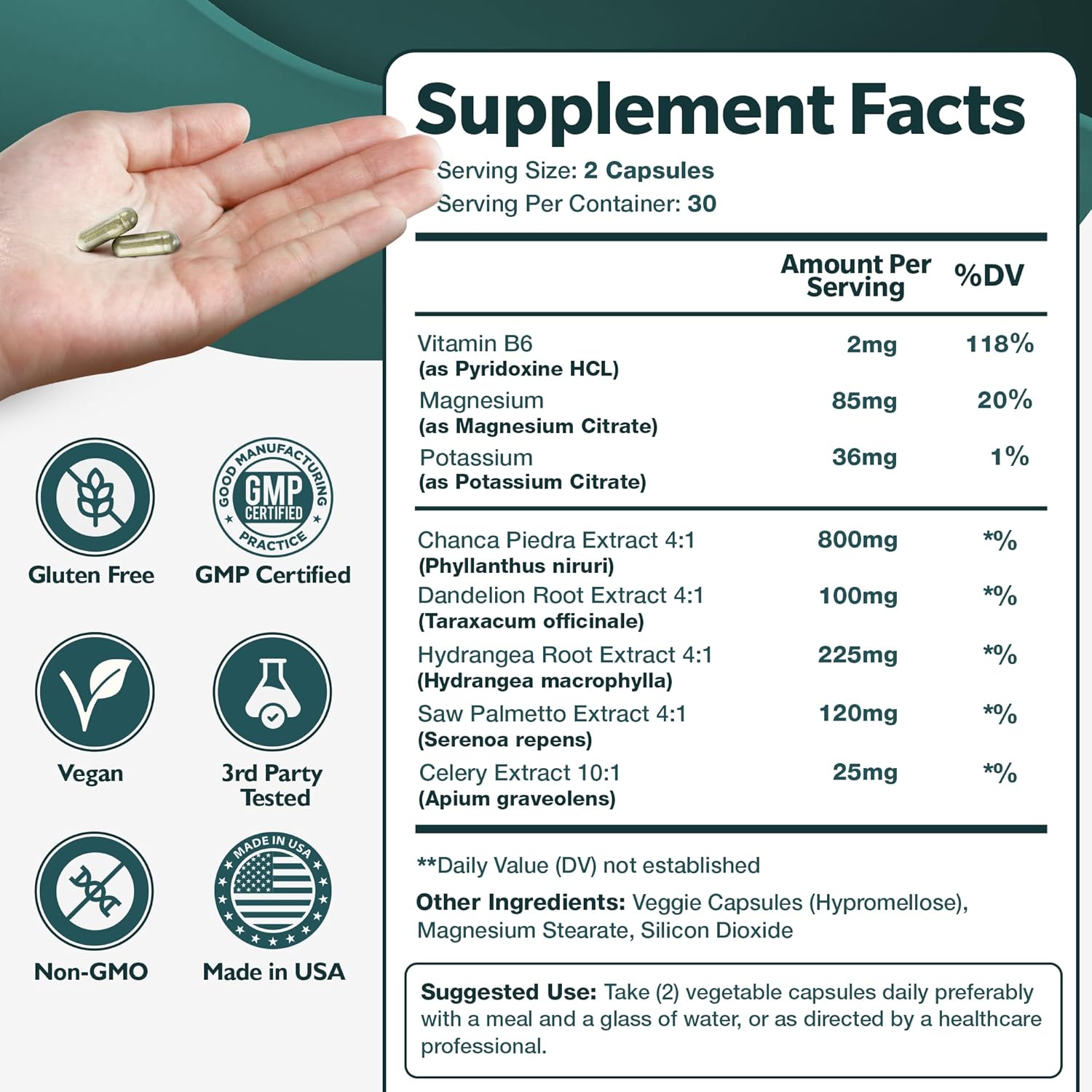 Chanca Piedra Stone Breaker Kidney & Gallbladder Cleanse - Natural Kidney Stone Dissolver - Phyllanthus Niruri Supplement with Magnesium & Potassium - 60 Capsules
