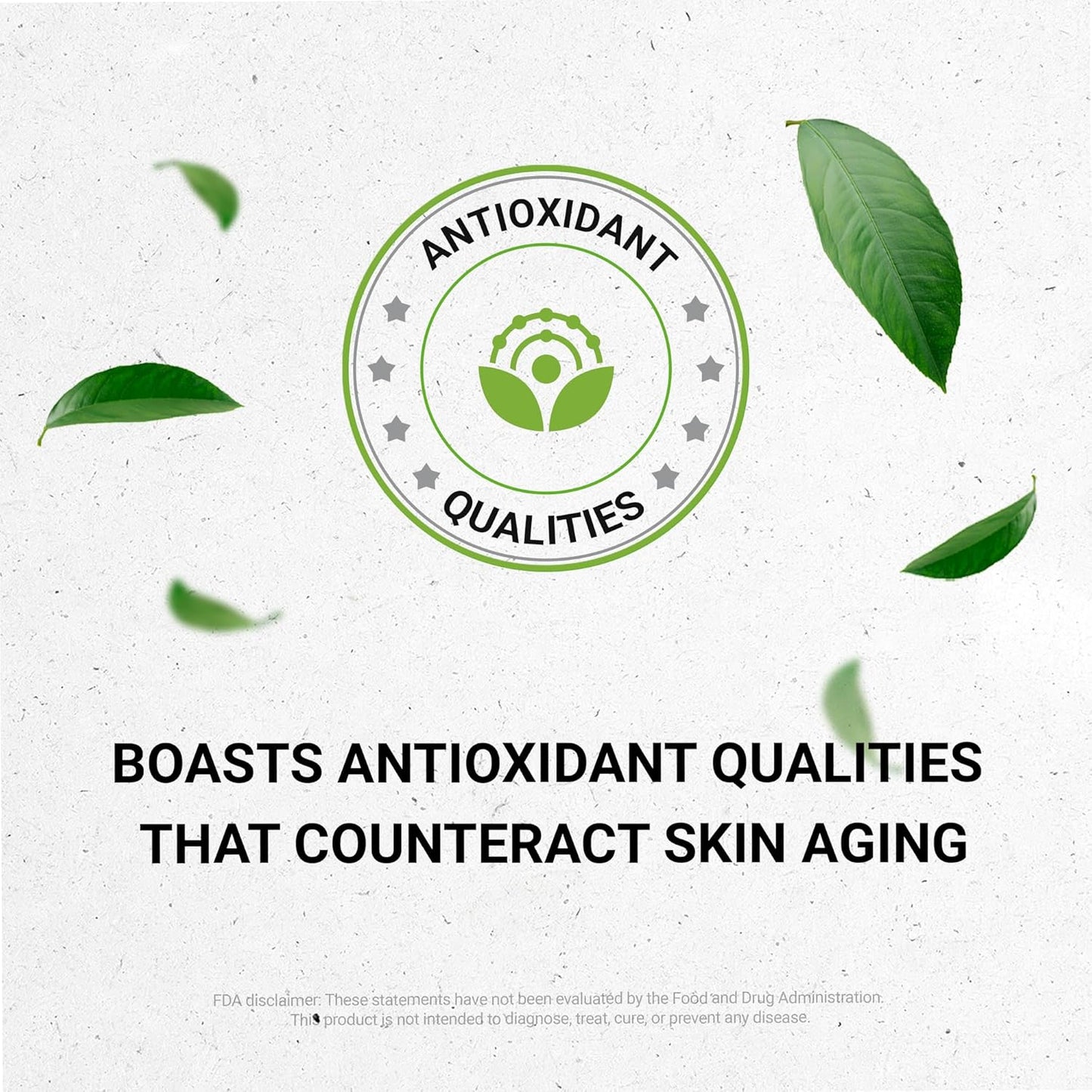 Chaparral Alcohol-Free Liquid Extract - Premium Tincture Supplement (4 FL OZ)