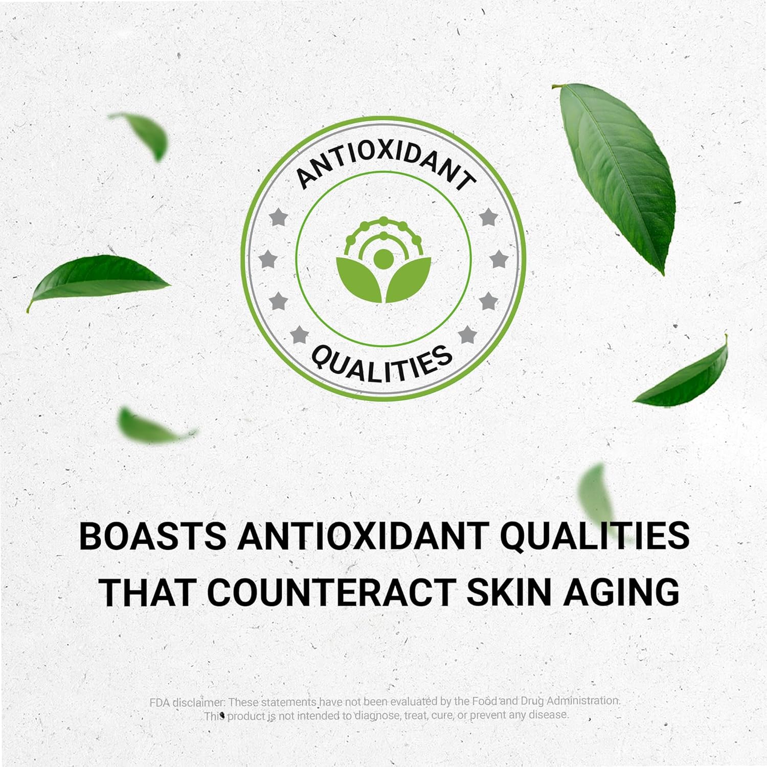 Chaparral Alcohol-Free Liquid Extract - Premium Tincture Supplement (4 FL OZ)