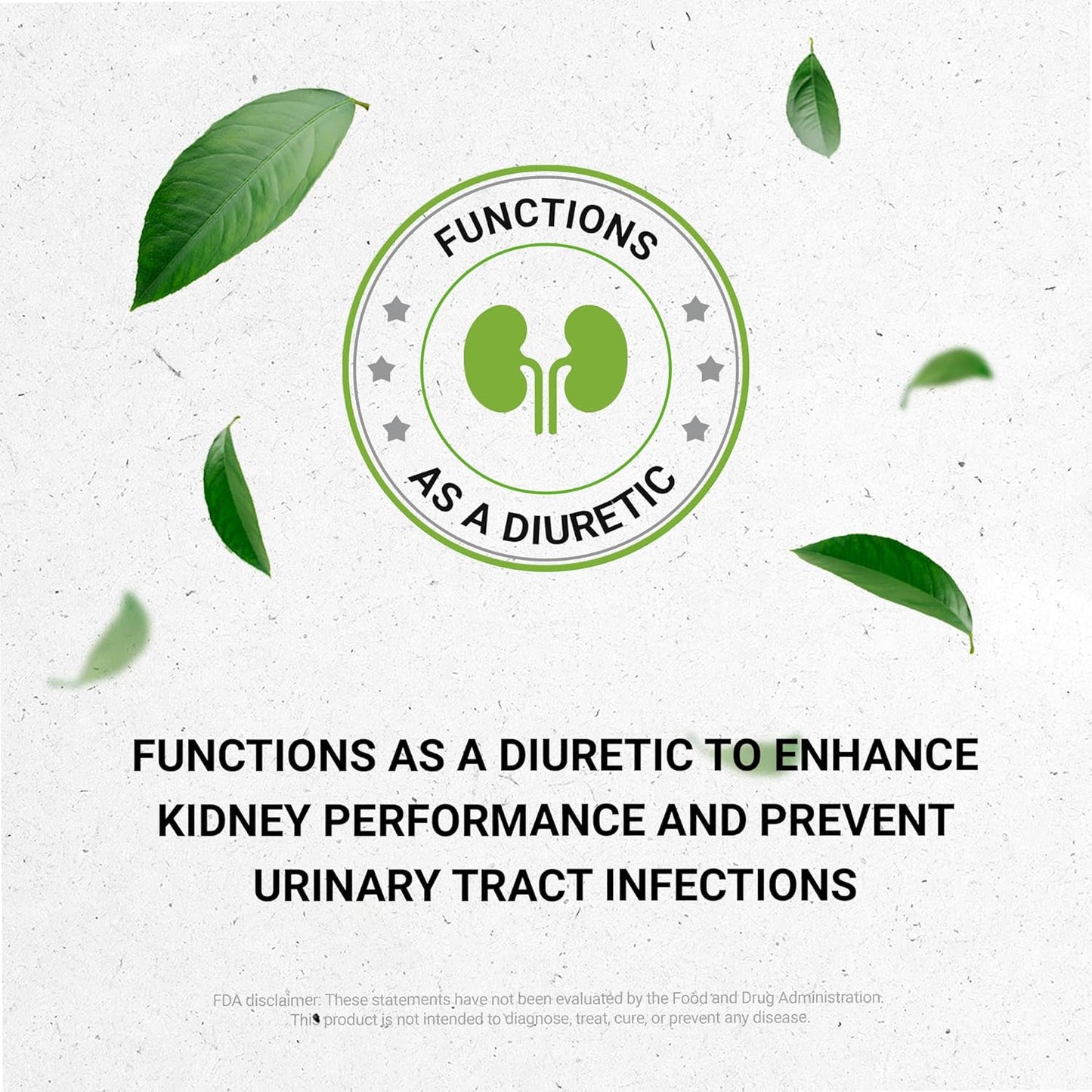 Chaparral Alcohol-Free Liquid Extract Supplement - 2 FL OZ