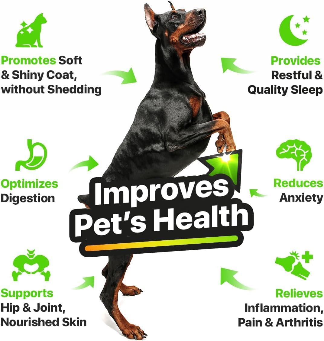 Charlie & Buddymetabolism boosterOil for Dogs - Omega 3, 6, 9 for Skin, Coat, Anxiety Relief, and Joint Pain Support