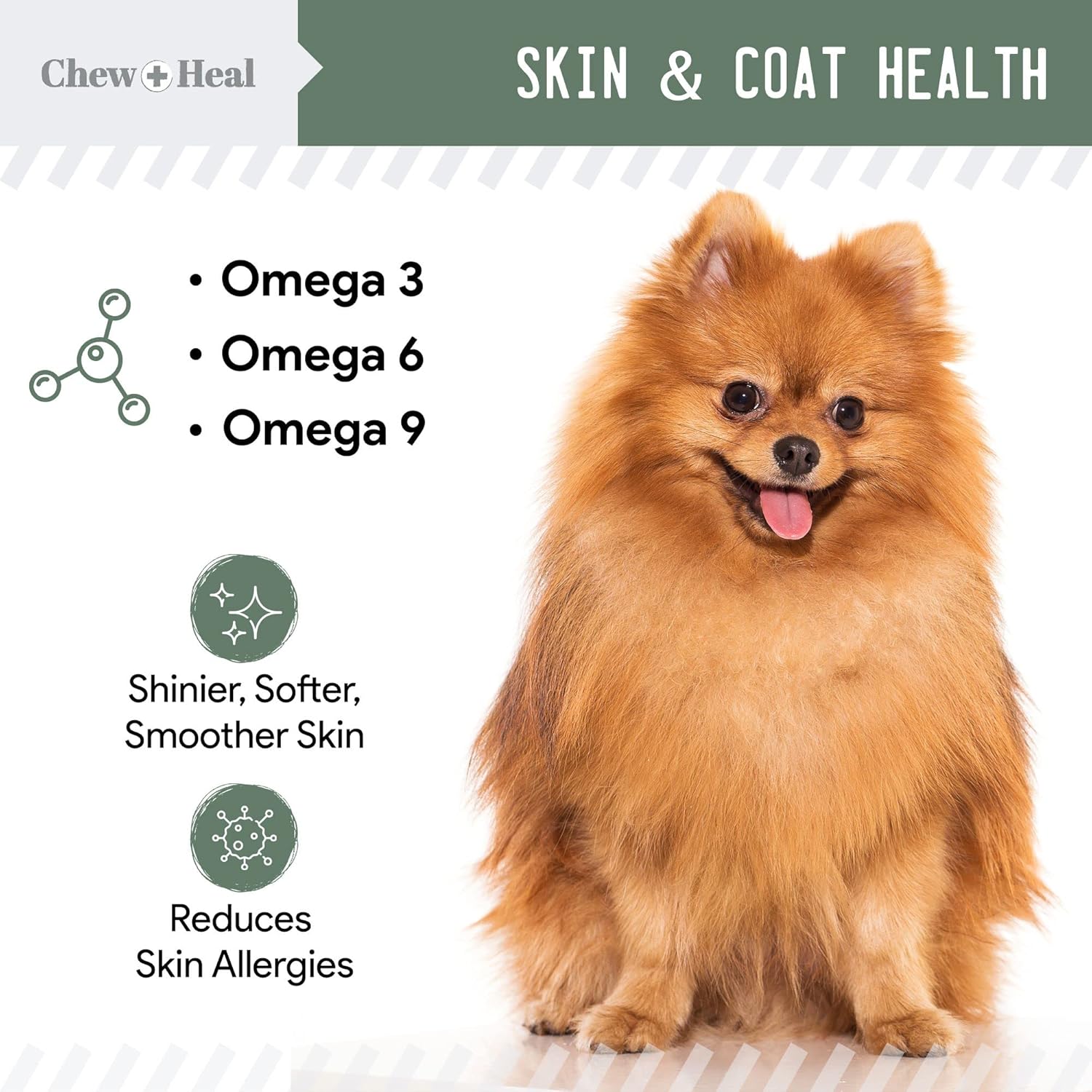 Chew + Heal Labs All-in-One Dog Vitamin 2PK - 240 Soft Chew Treats with Probiotics, Digestive Enzymes, Skin & Coat, Hip & Joint Support - Made in USA