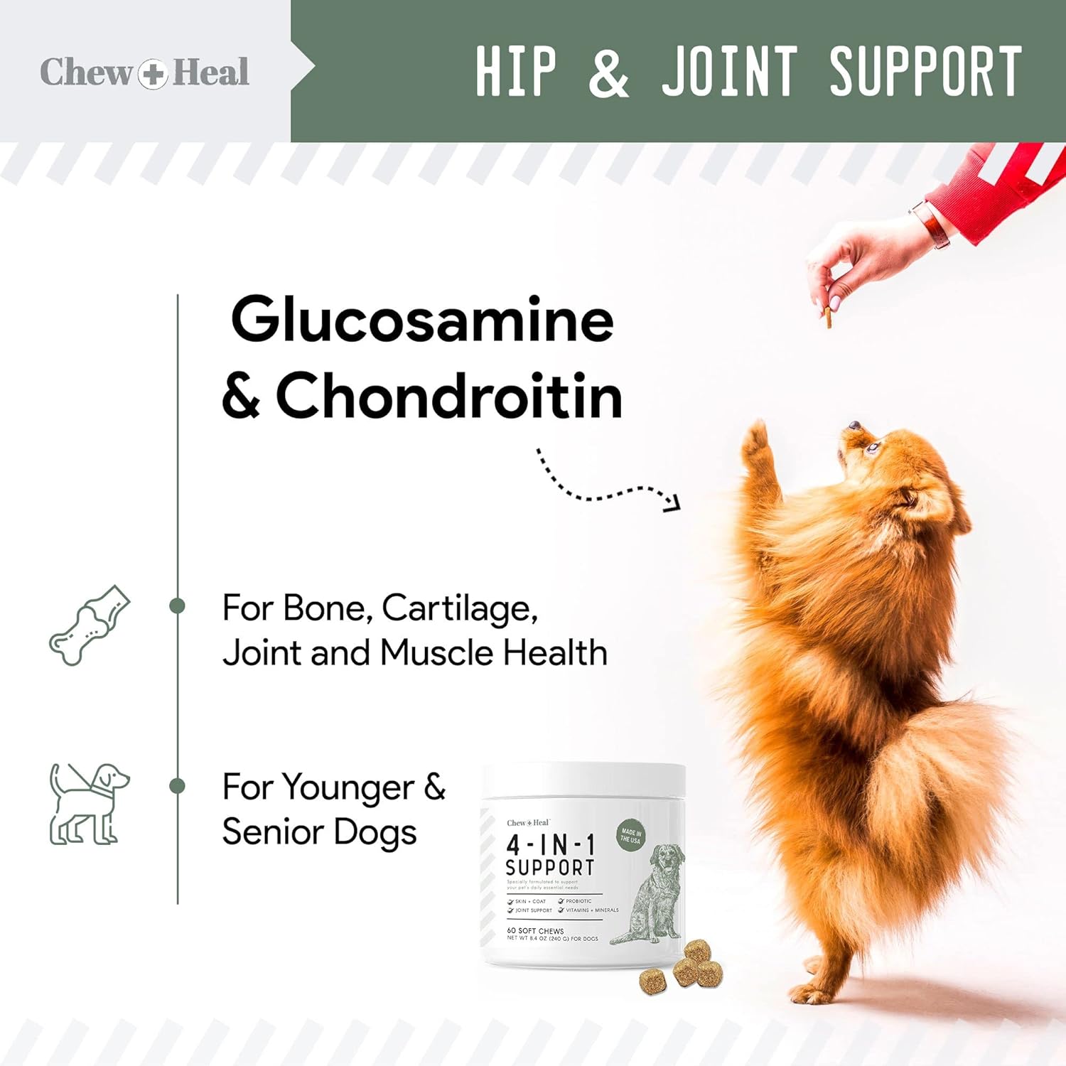 Chew + Heal Labs All-in-One Dog Vitamin 2PK - 240 Soft Chew Treats with Probiotics, Digestive Enzymes, Skin & Coat, Hip & Joint Support - Made in USA
