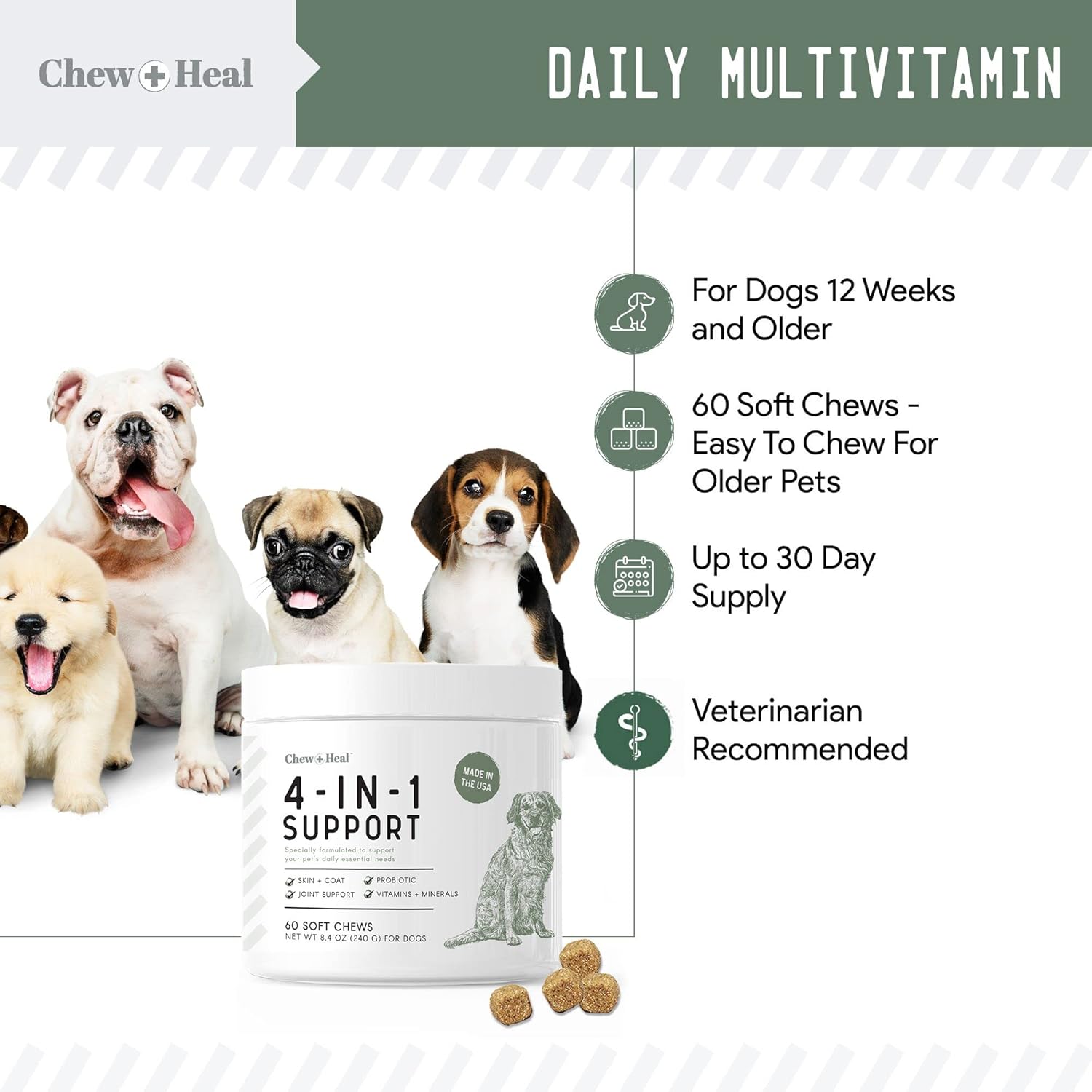 Chew + Heal Labs All-in-One Dog Vitamin 2PK - 240 Soft Chew Treats with Probiotics, Digestive Enzymes, Skin & Coat, Hip & Joint Support - Made in USA
