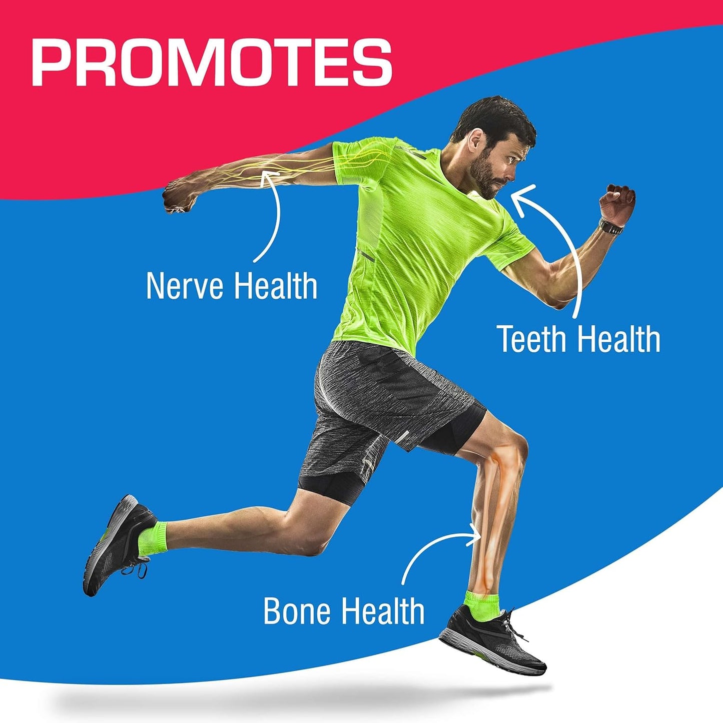 Chewable Calcium Supplement 1000mg - 120 Vegetarian Tablets with Vitamin D, Magnesium, and Boron - Citrus Flavor - Supports Bone, Teeth, and Nerve Health
