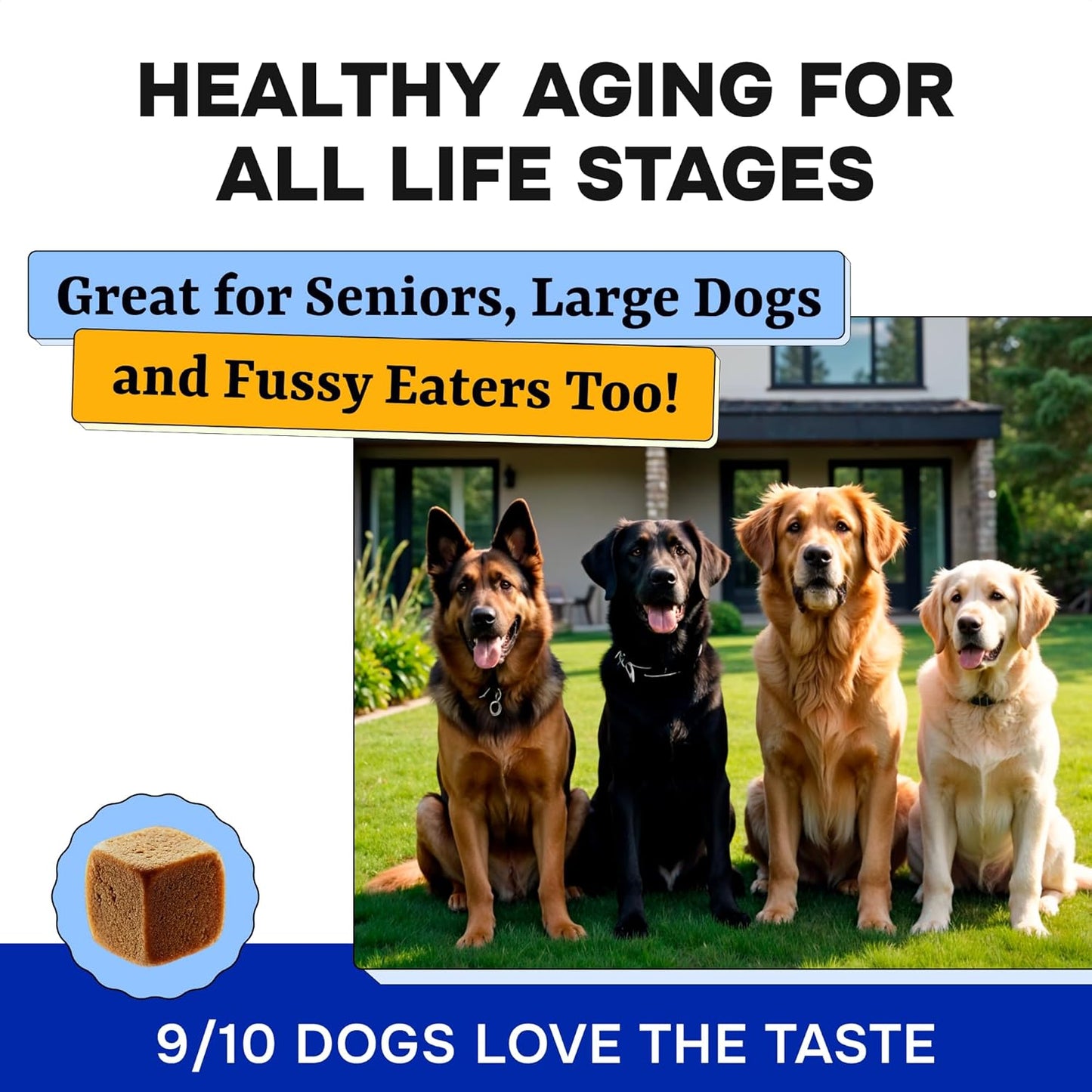 Chewable Dog Multi Vitamins with Glucosamine, Omega, Probiotics - Hip & Joint, Skin & Coat, Gut Health - Adult & Senior - Large & Small Breed - 120 Chews