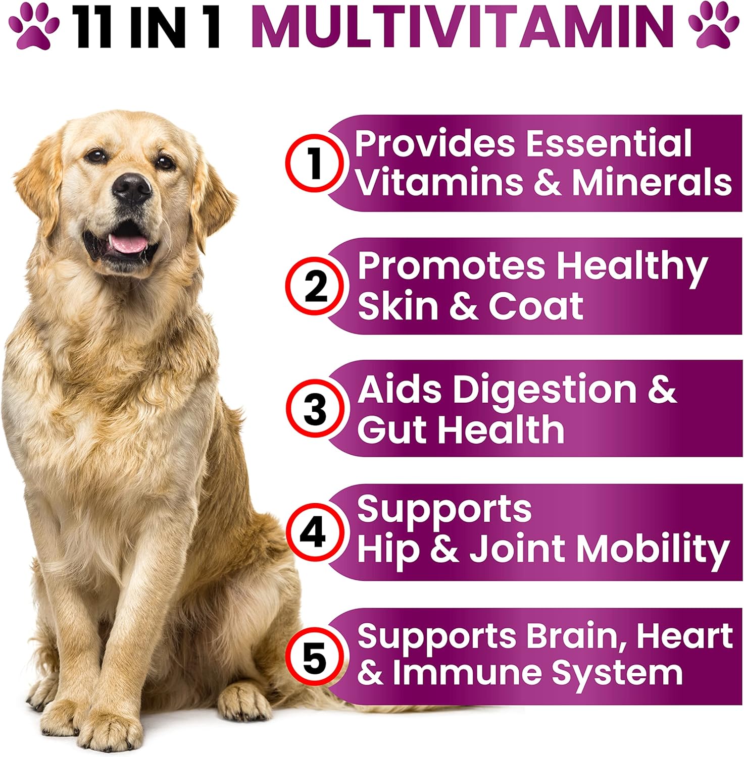 Chewable Dog Multivitamin with Glucosamine - Senior & Puppy Vitamins, Chondroitin Joint Support - Immune Health, Skin, Heart, Probiotics - BoostGo Australia