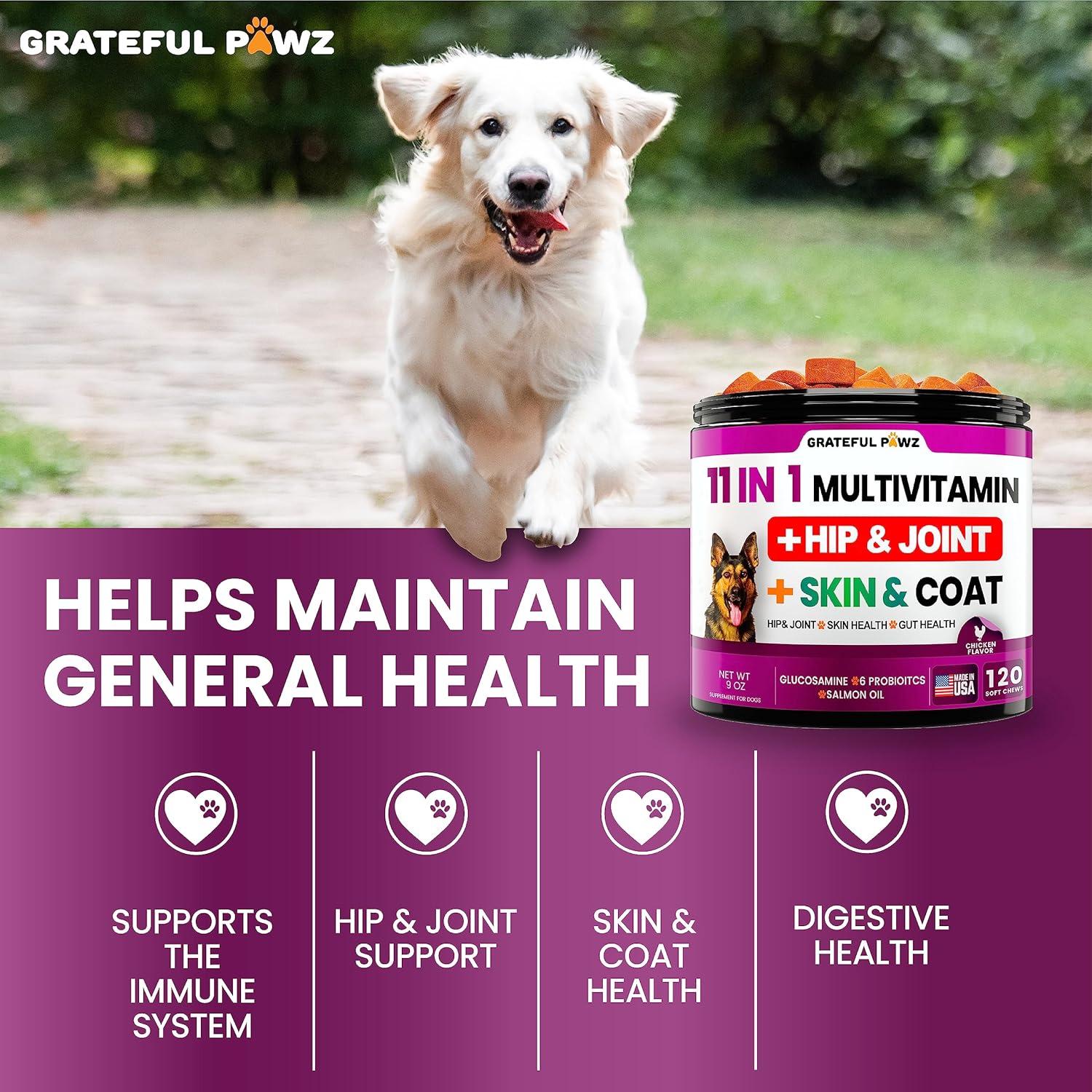 Chewable Dog Multivitamin with Glucosamine - Senior & Puppy Vitamins, Chondroitin Joint Support - Immune Health, Skin, Heart, Probiotics - BoostGo Australia