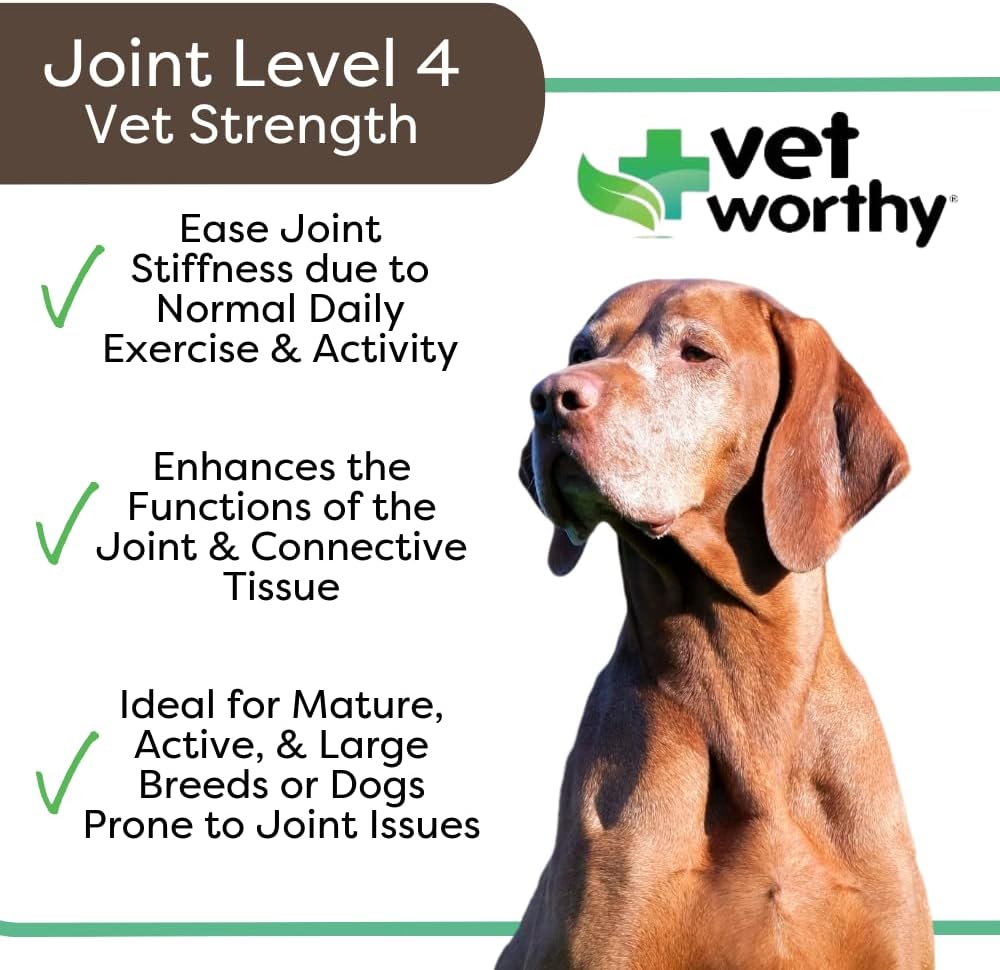 Chewable Joint Support Tablets for Dogs | Vet Strength Formula with Glucosamine and Hyaluronic Acid | Promotes Bone Health and Healthy Joints | Liver Flavor, 60-Count