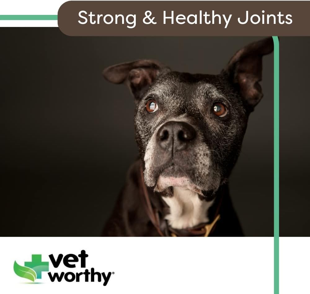 Chewable Joint Support Tablets for Dogs | Vet Strength Formula with Glucosamine and Hyaluronic Acid | Promotes Bone Health and Healthy Joints | Liver Flavor, 60-Count