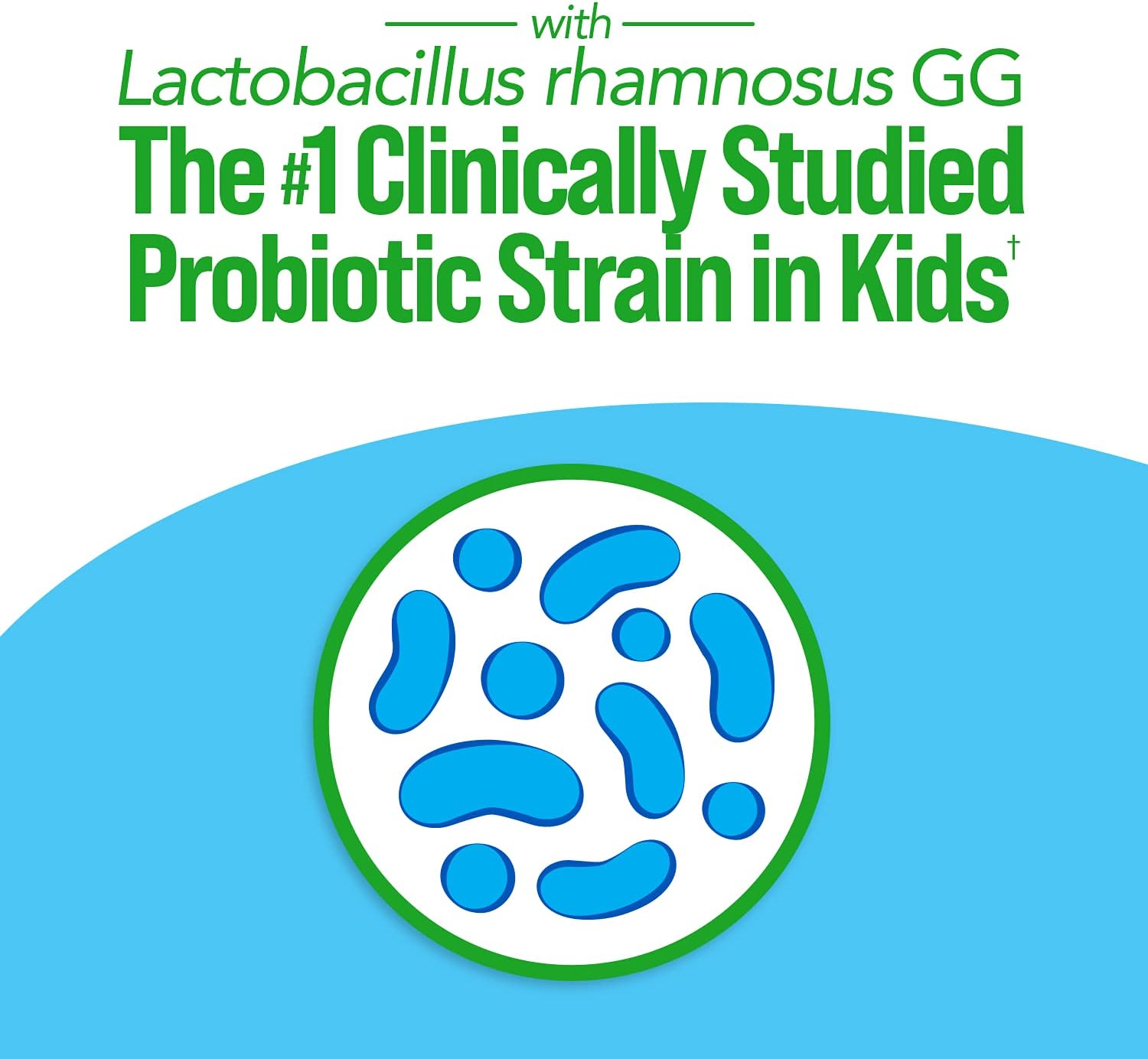 Chewable Kids Probiotic & Multivitamin with 11 Vitamins - 30 Count, Ages 3+, Digestive, Oral, & Immune Support