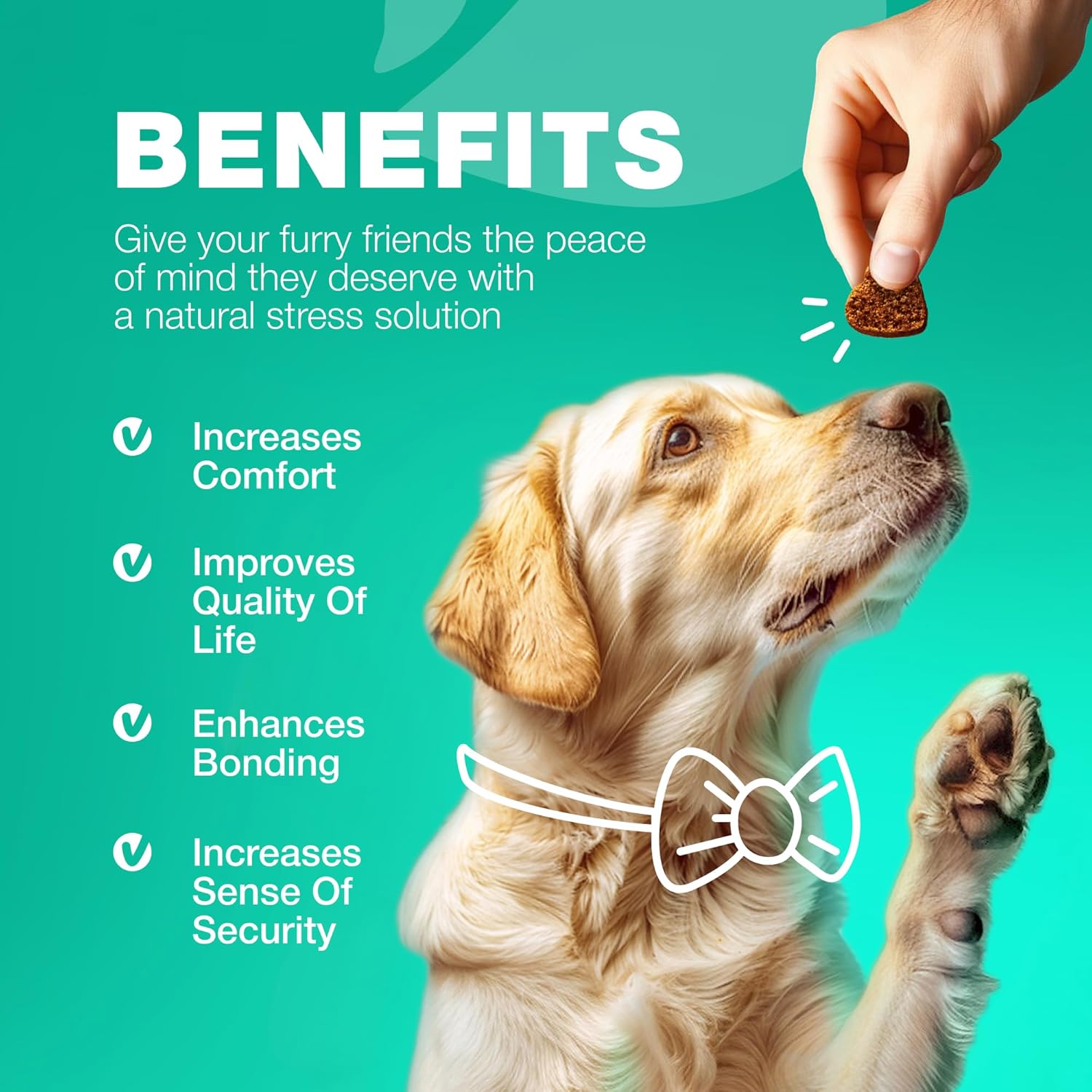 Chewia Coprophagia Deterrent Chews for Dogs - Probiotics and Enzymes for Digestive Health - Canine Stool Eating Prevention-Treats for Digestive, Dental, Gut & Immune Health