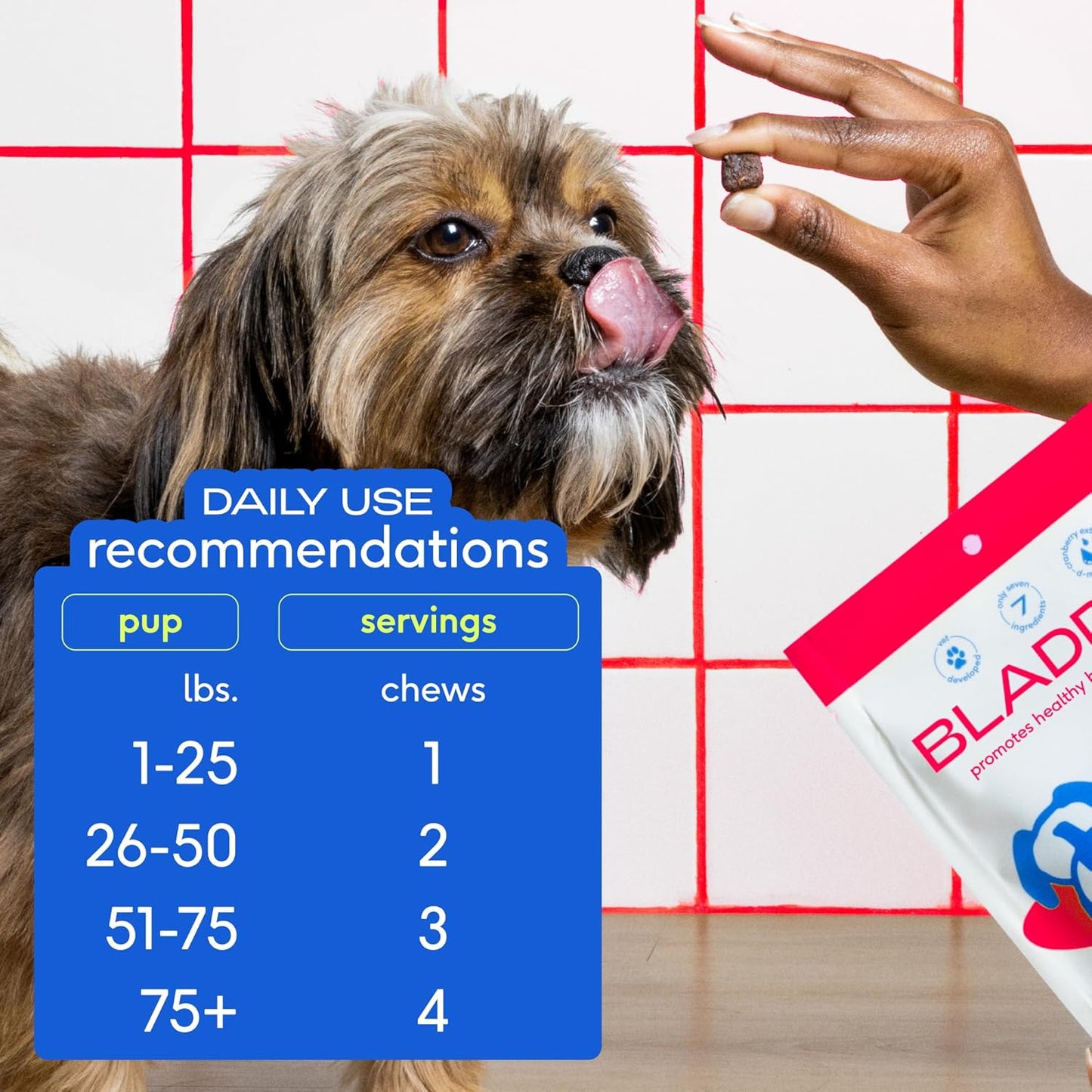 Chicken Cranberry Chews for Dog & Cat UTI - Bladder Control & UTI Medicine - Natural Pet Health Solution for Urinary Tract Infection