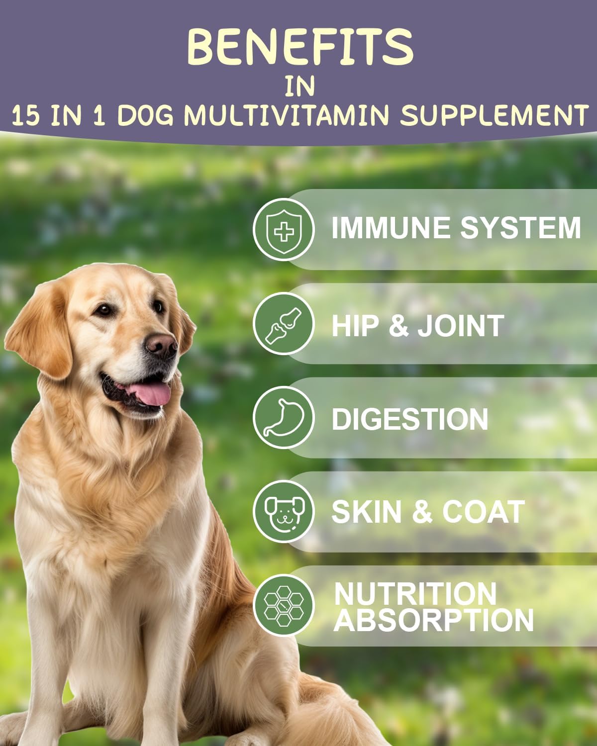 Chicken Flavored 15-in-1 Dog Multivitamin Supplement with Glucosamine, Chondroitin, Essential Vitamins for Immune System, Digestion, Hip & Joint, Skin & Coat - 120 Chews