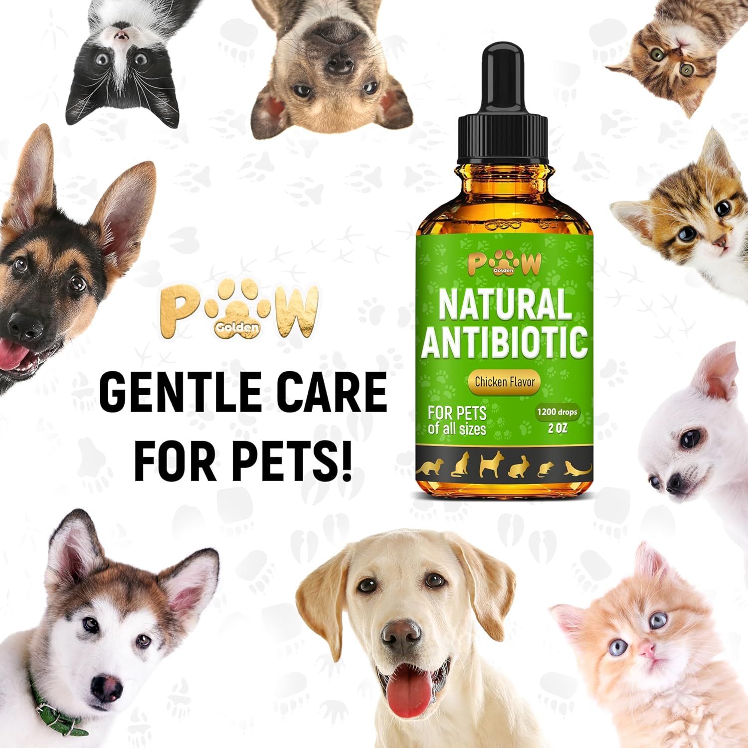 Chicken Flavored Antibiotics for Dogs and Cats | Treat Infections, UTIs, Allergies | Digestive Support | PAU D'Arco + Cranberry | 2 Oz Bottle