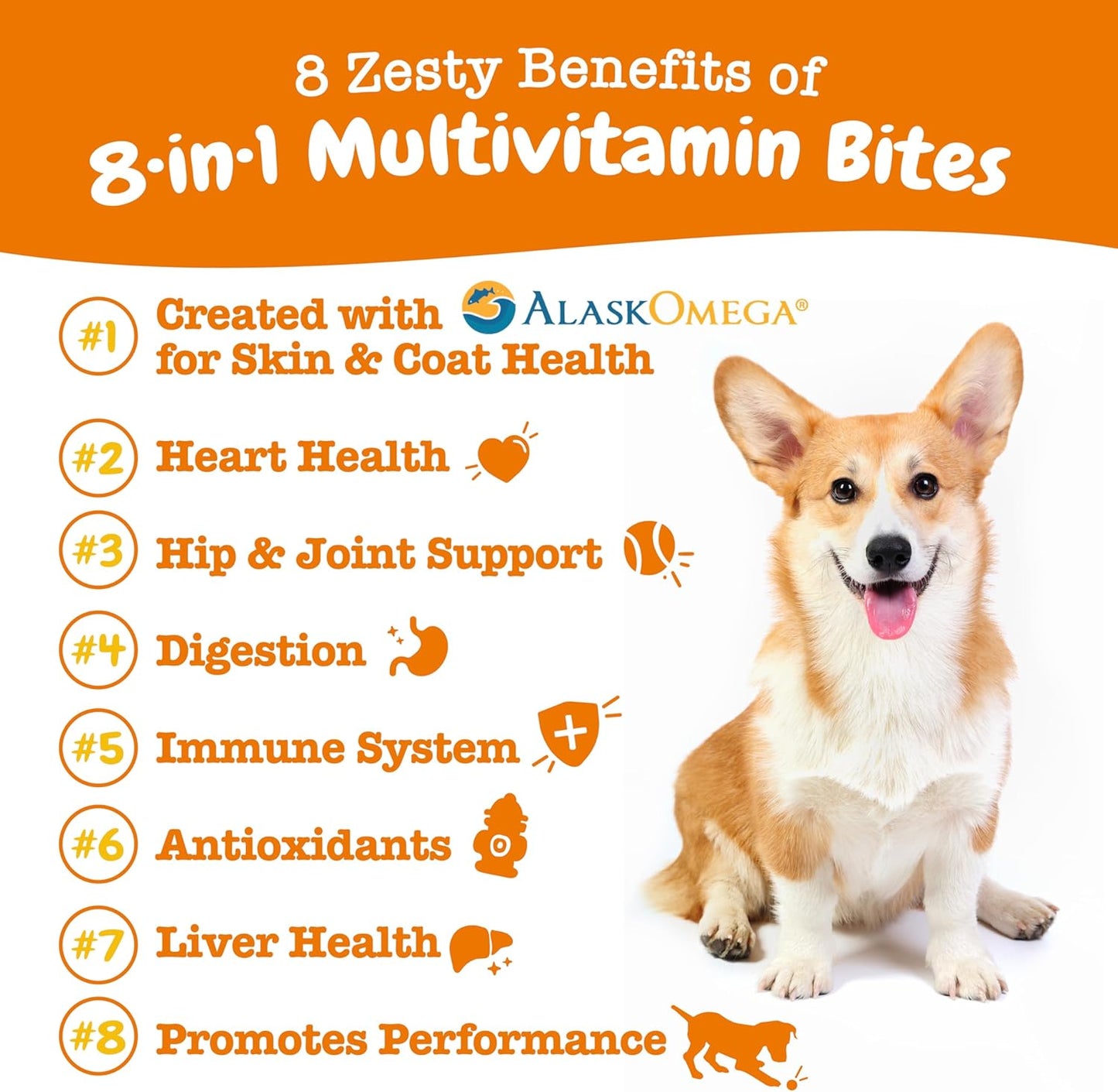 Chicken Flavored Dog Multivitamin Treats with Glucosamine, Chondroitin, Probiotics, and Enzymes - 90ct