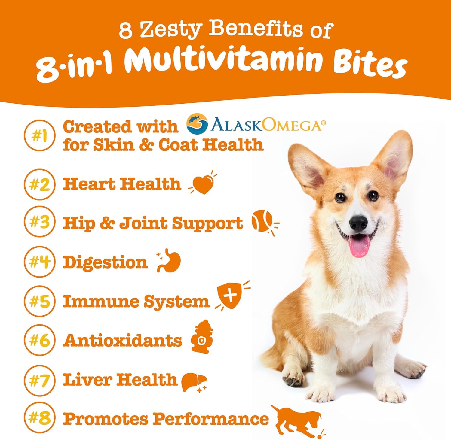 Chicken Flavored Dog Multivitamin Treats with Glucosamine, Chondroitin, Probiotics, and Enzymes - 90ct
