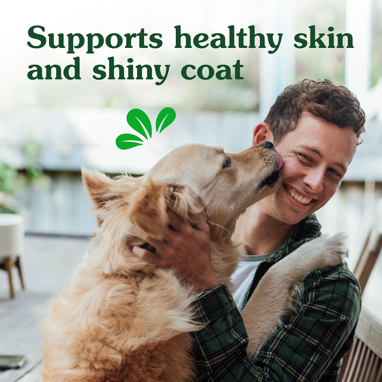 Chicken-Flavored Greenies Skin and Coat Supplements for Dogs with Fish Oil, Omega 3, 80 Soft Chews, 14.7 oz.