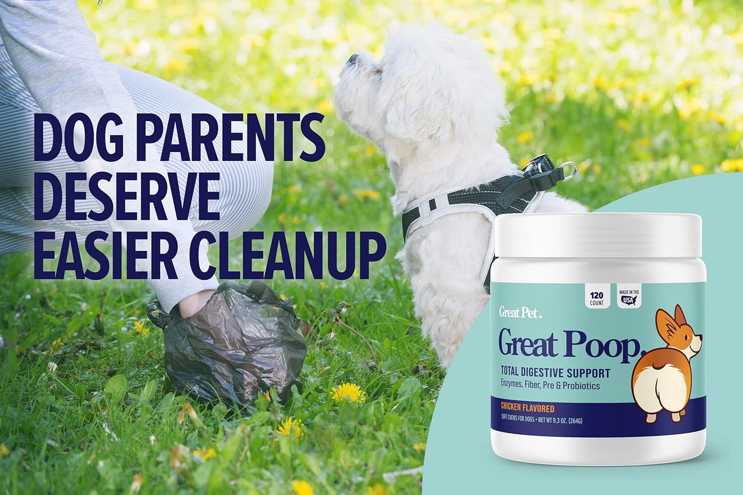 Chicken Flavored Probiotic Fiber Supplement for Dogs - Supports Healthy Gut, Firm Stool & Diarrhea Relief - Pet Soft Chews with Digestive Enzymes & Prebiotics