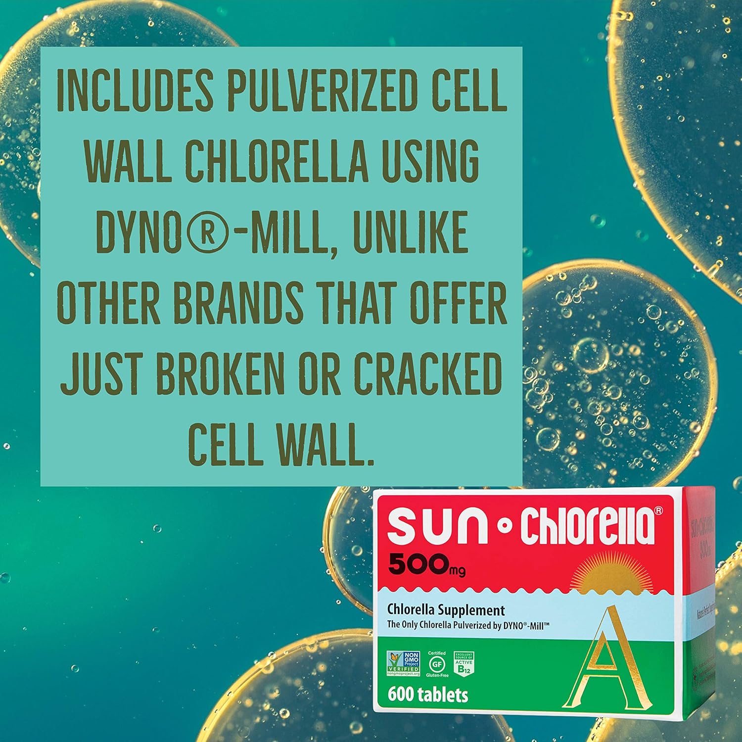 Chlorella Superfood Bundle: 2ct 500mg Tablets + 10x6g Powder Packets for Whole Body Wellness
