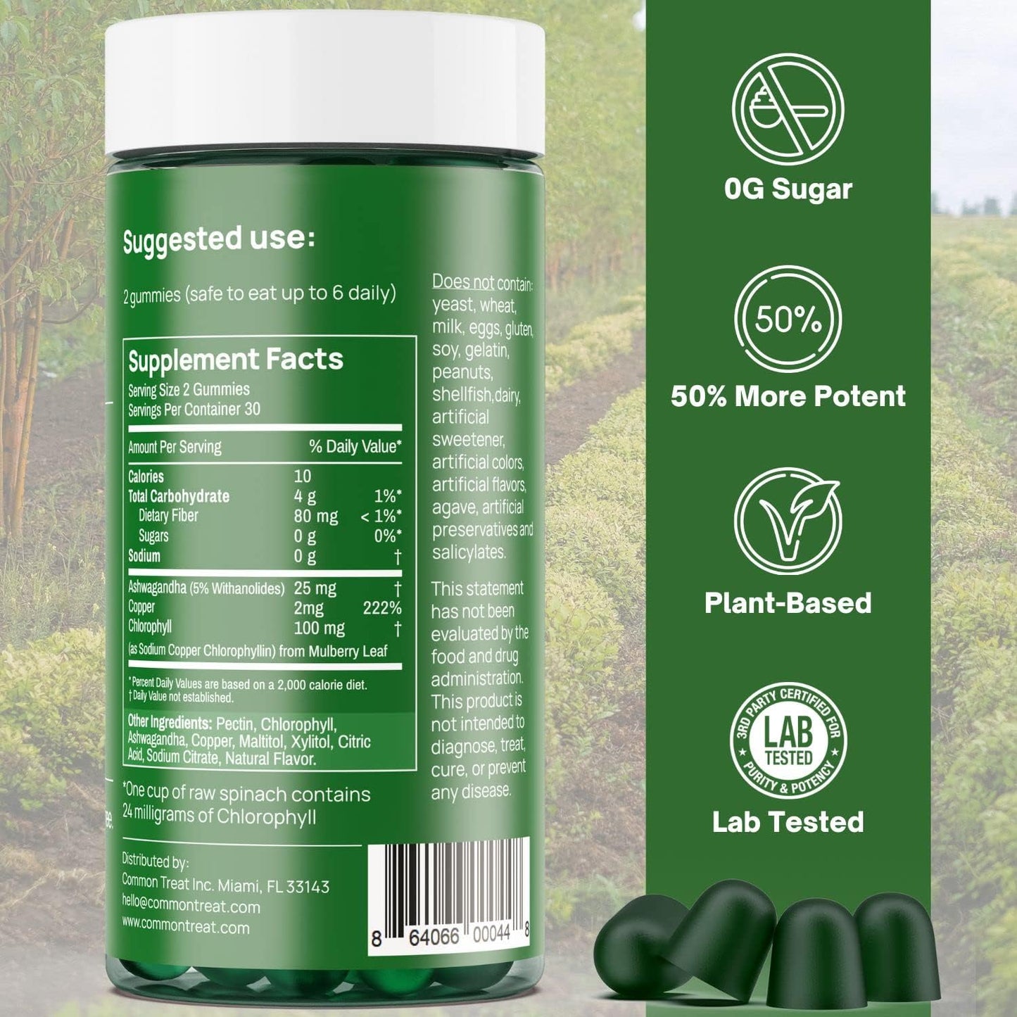 Chlorophyll Gummies with Ashwagandha for Energy, Immune Support, Skin Health - Vegan, Gluten Free, Sugar Free - Apple Flavor, 60 Servings