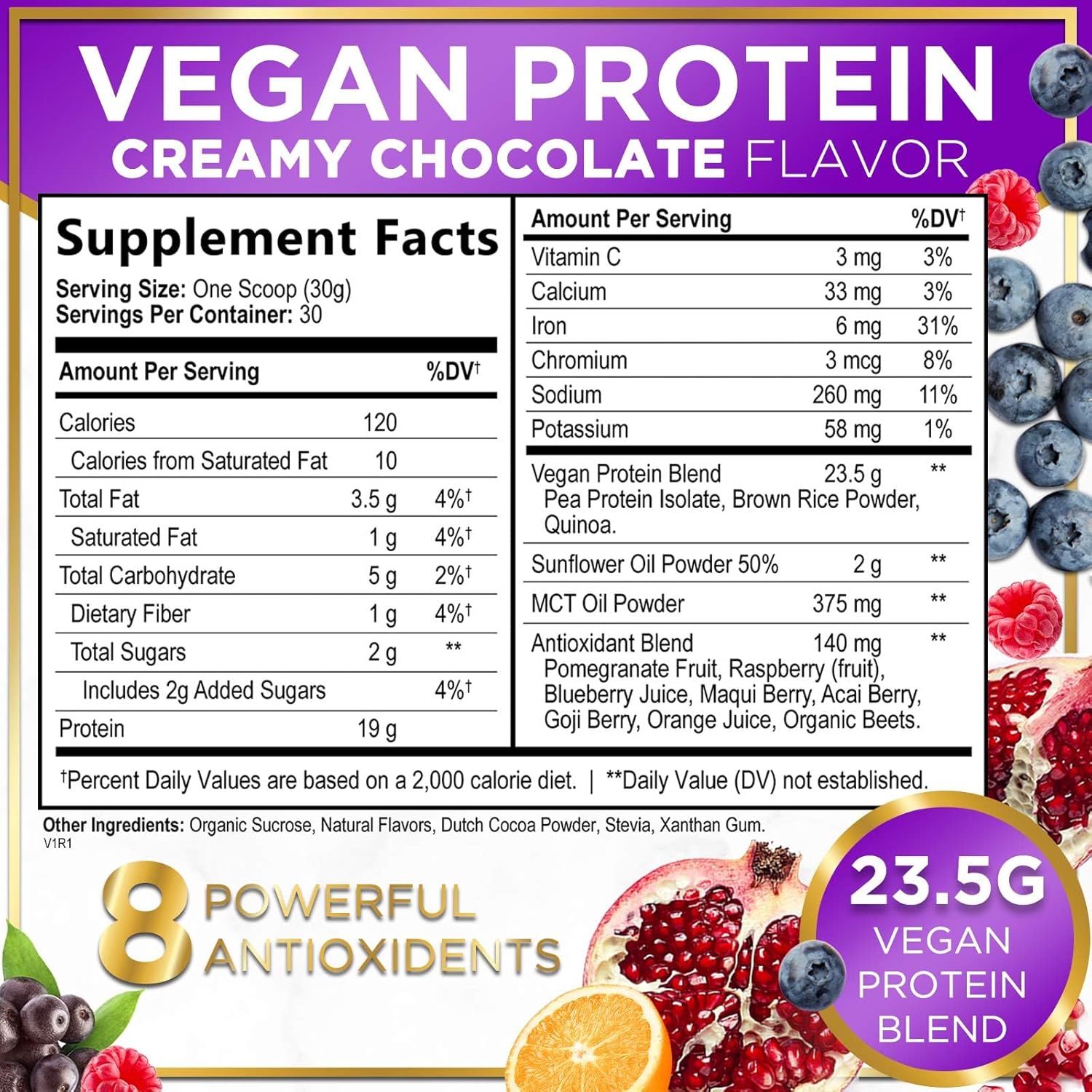 Chocolate Fudge Vegan Protein Powder - Plant-Based Isolate, Dairy-Free, Gluten-Free, Non-GMO, Easy Digestion, 2lb (30 Servings)