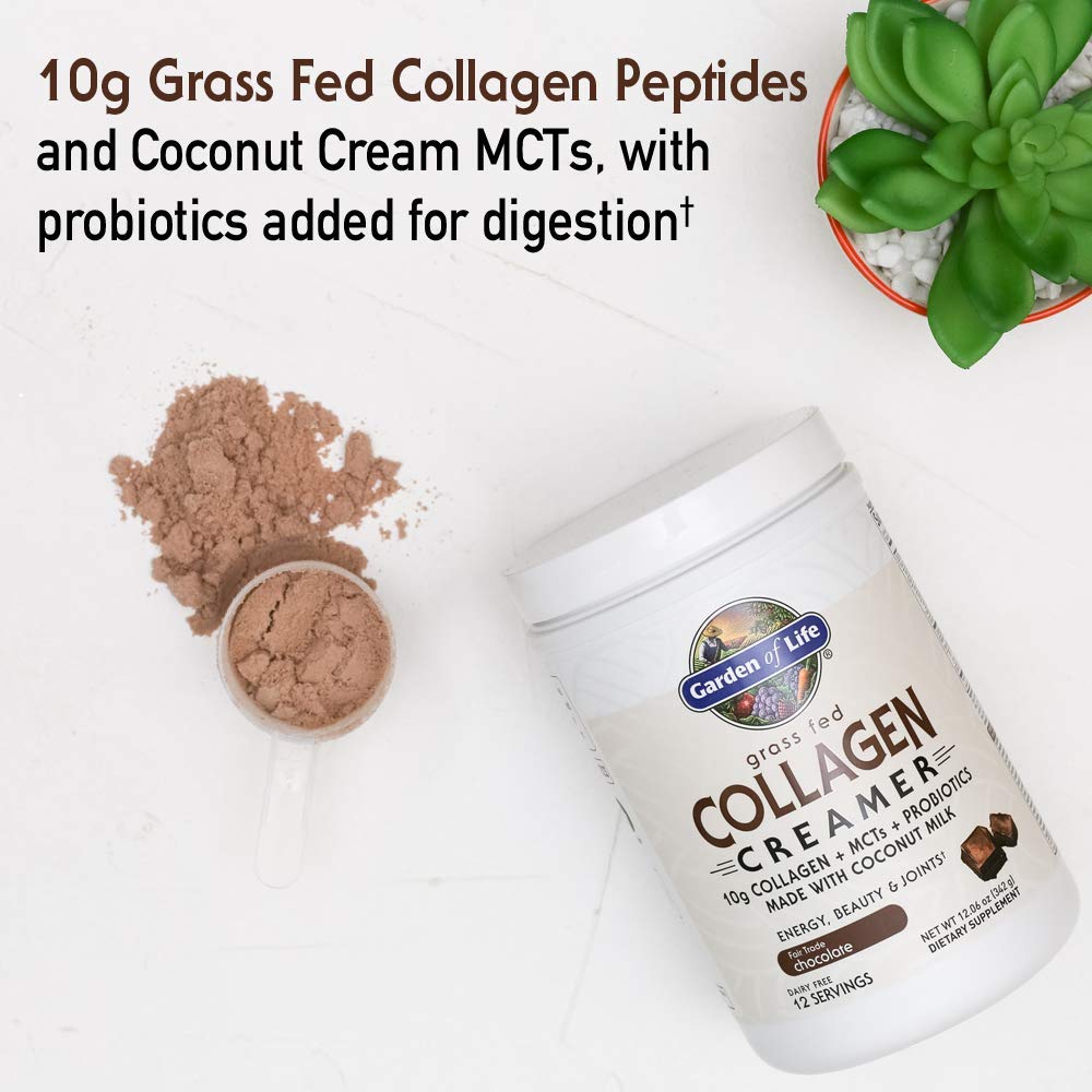 Chocolate Grass-Fed Collagen Creamer Powder - 12 Servings for Coffee Energy & Beauty - BoostGo Australia
