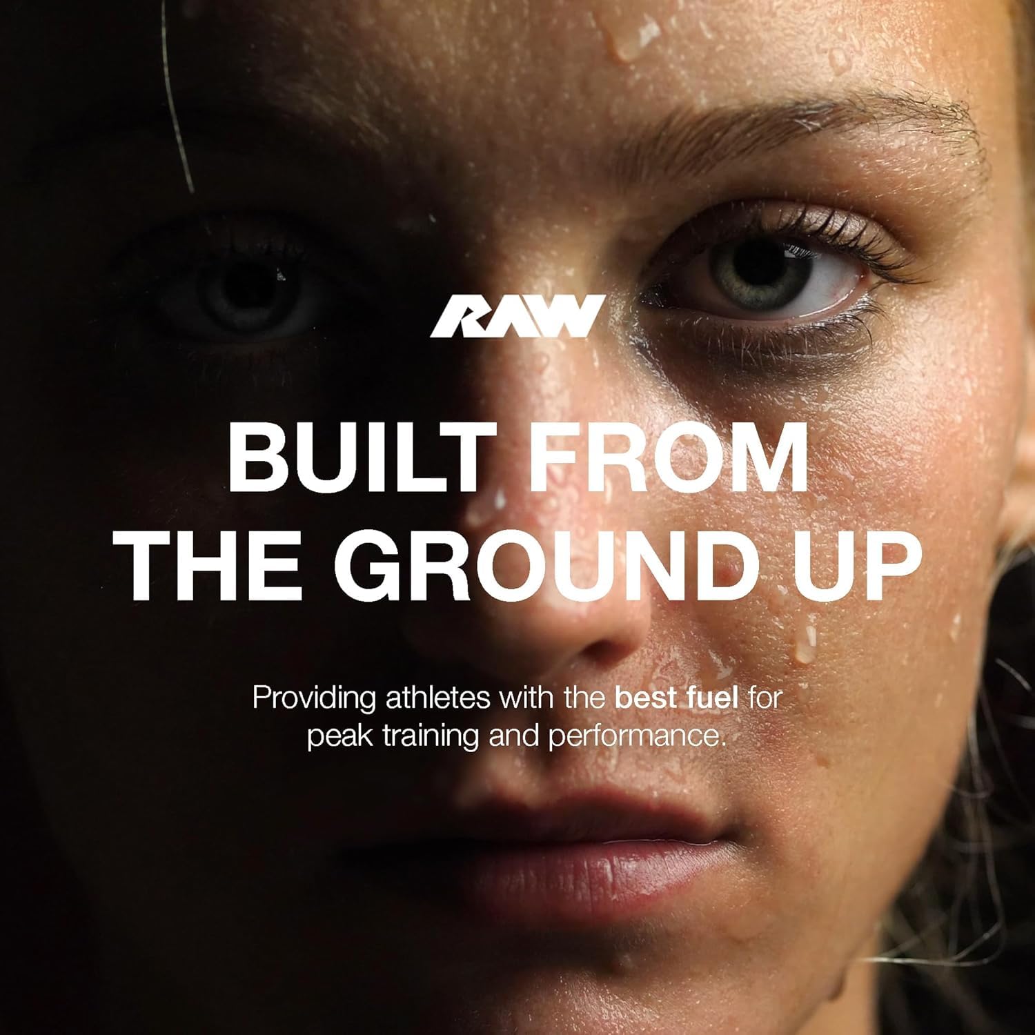 Chocolate Grass-Fed Whey Protein Shake - Ready-to-Drink Meal Replacement & Breakfast Drink with Zero Sugar - Post-Workout Protein Isolate Shake, 12 Fl Oz