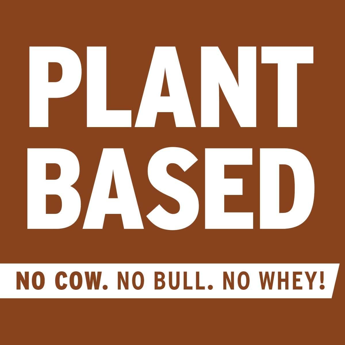 Chocolate No Cow Vegan Protein Powder - 20g Plant Based Protein, Dairy Free, Soy Free, Keto Friendly - 1.74 lb Bag