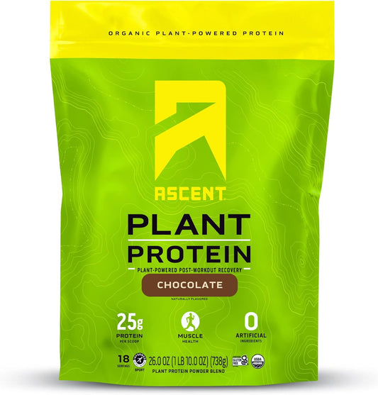 Chocolate Plant Based Protein Powder - Vegan, Dairy-Free, Soy & Gluten Free, No Artificial Ingredients, Zero Added Sugar, 4g BCAA, 2g Leucine - 18 Servings
