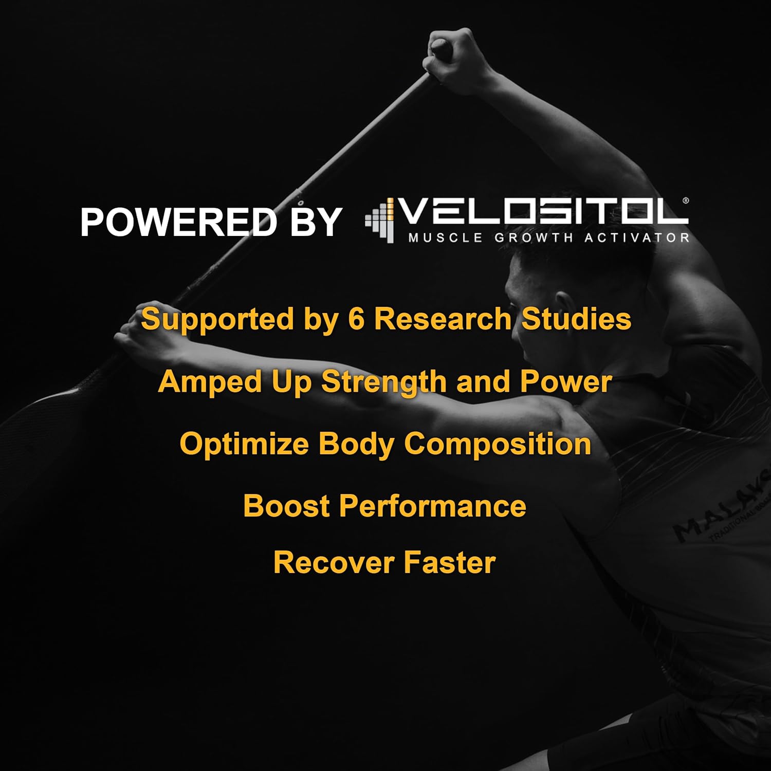 Chocolate Vegan Sport Protein Powder with VELOSITOL, BCAAs, and Organic Greens - 20 Servings for Post-Workout Recovery and Keto Friendly - UpNourish
