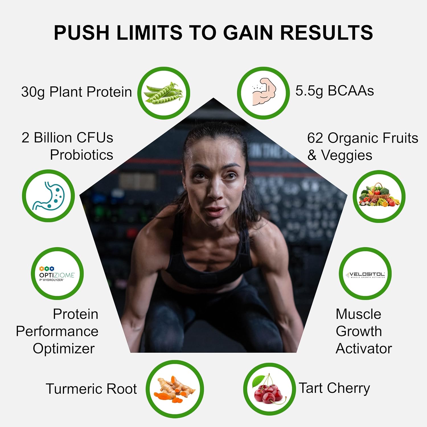 Chocolate Vegan Sport Protein Powder with VELOSITOL, BCAAs, and Organic Greens - 20 Servings for Post-Workout Recovery and Keto Friendly - UpNourish