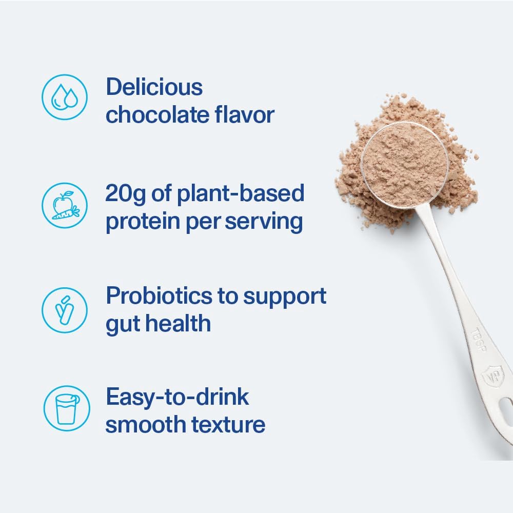 Chocolate Vital Proteins Plant-Based Protein Powder with Chickpea - 20g Protein, 1B CFU Probiotic, No Added Sugar - 16.5 oz