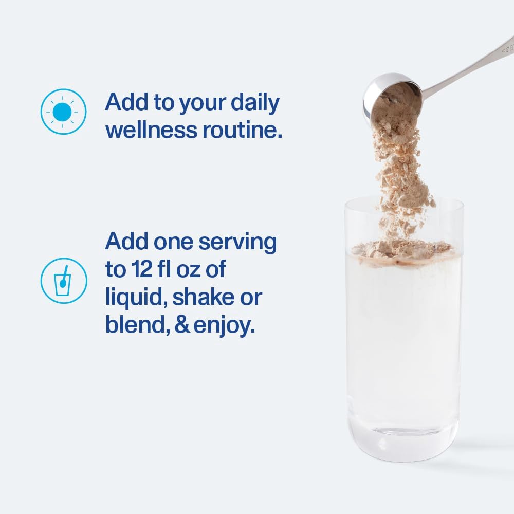 Chocolate Vital Proteins Plant-Based Protein Powder with Chickpea - 20g Protein, 1B CFU Probiotic, No Added Sugar - 16.5 oz