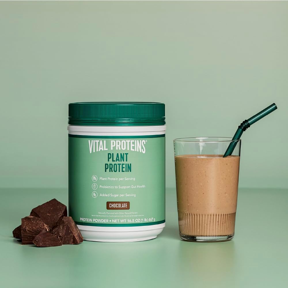 Chocolate Vital Proteins Plant-Based Protein Powder with Chickpea - 20g Protein, 1B CFU Probiotic, No Added Sugar - 16.5 oz
