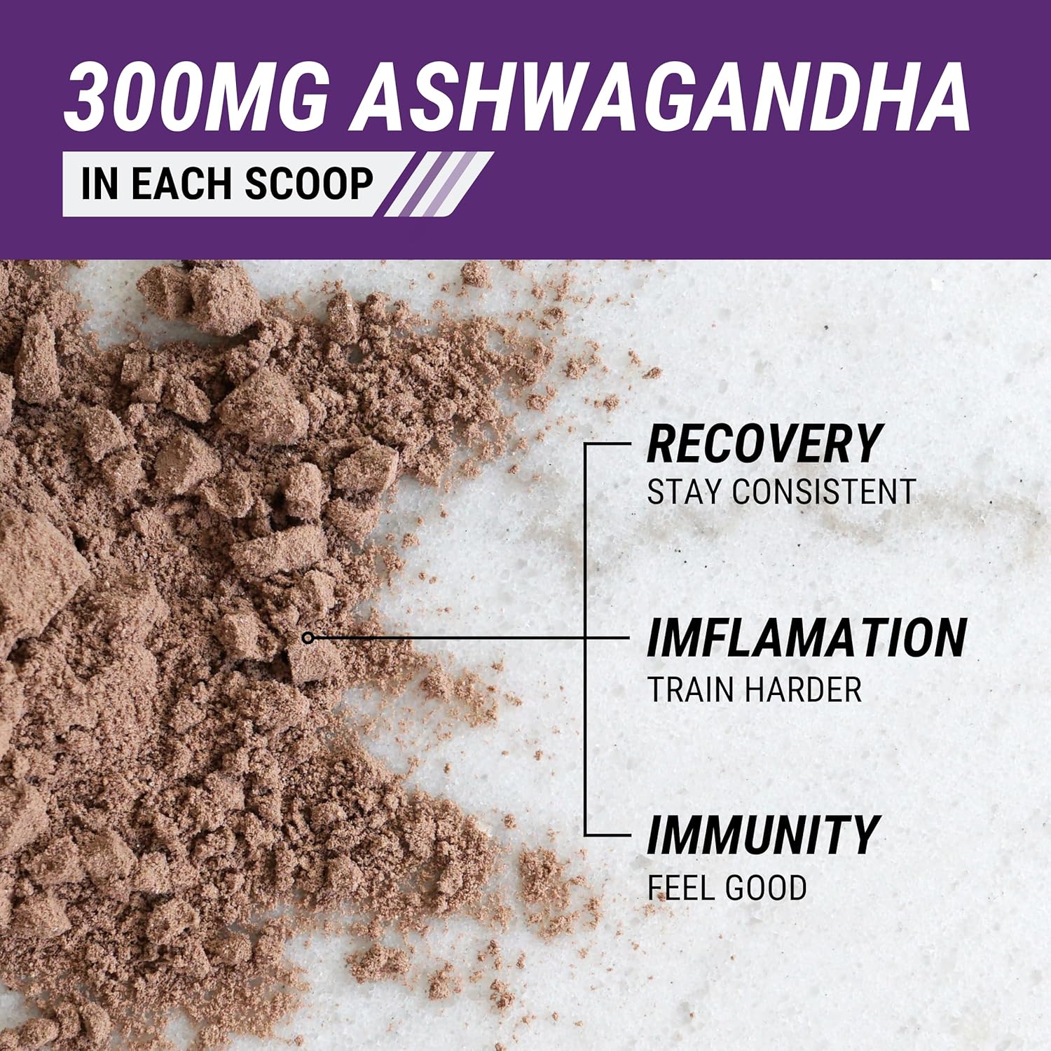 Chocolate Whey Protein Powder with Ashwagandha - 24g Protein, Sugar-Free, Gluten-Free - 25 Servings