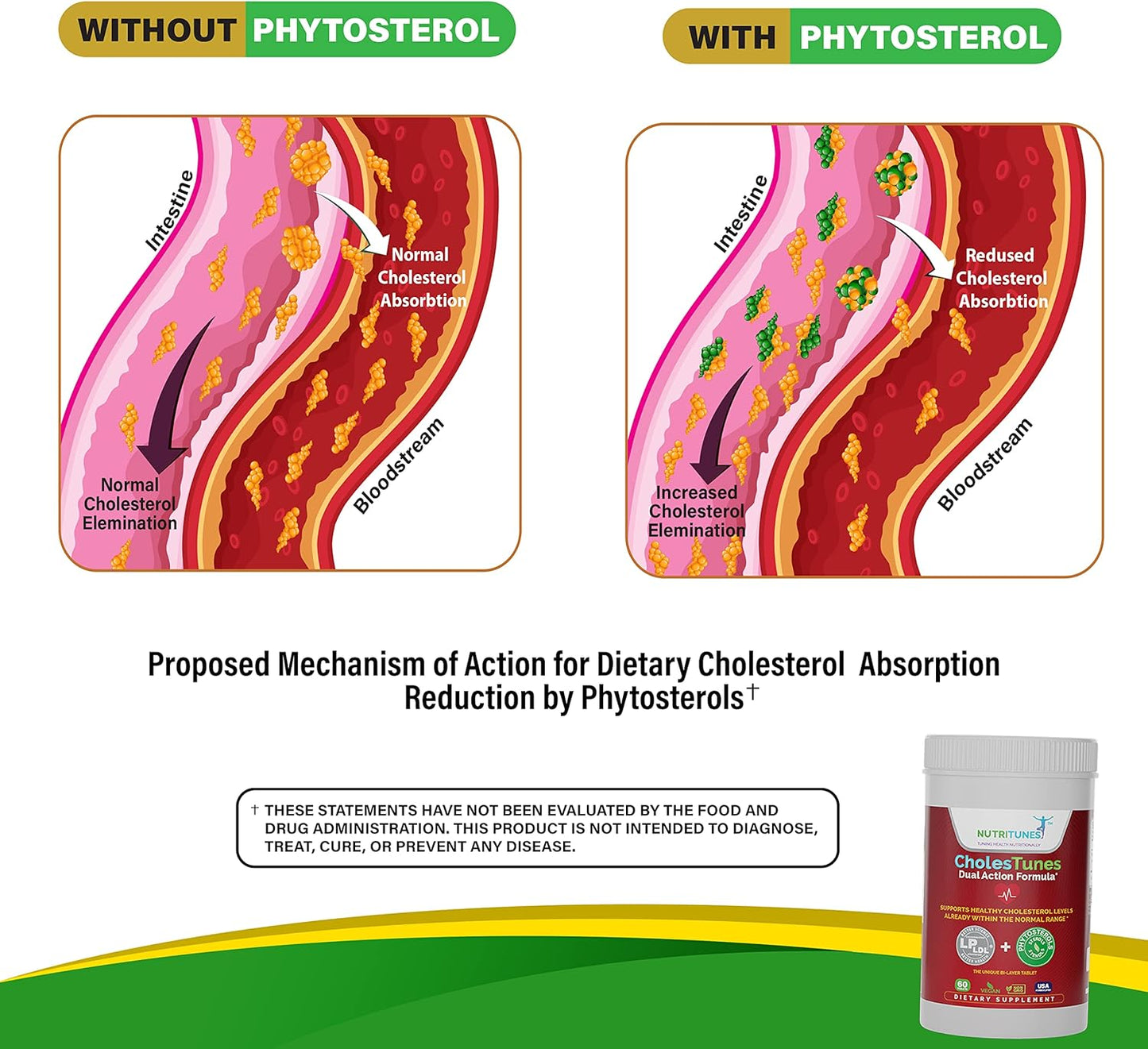CholesTunes Cholesterol Support Supplement - Phytosterols & Probiotic LP LDL for Heart Health - Non-GMO, Gluten-Free, 60 Tablets