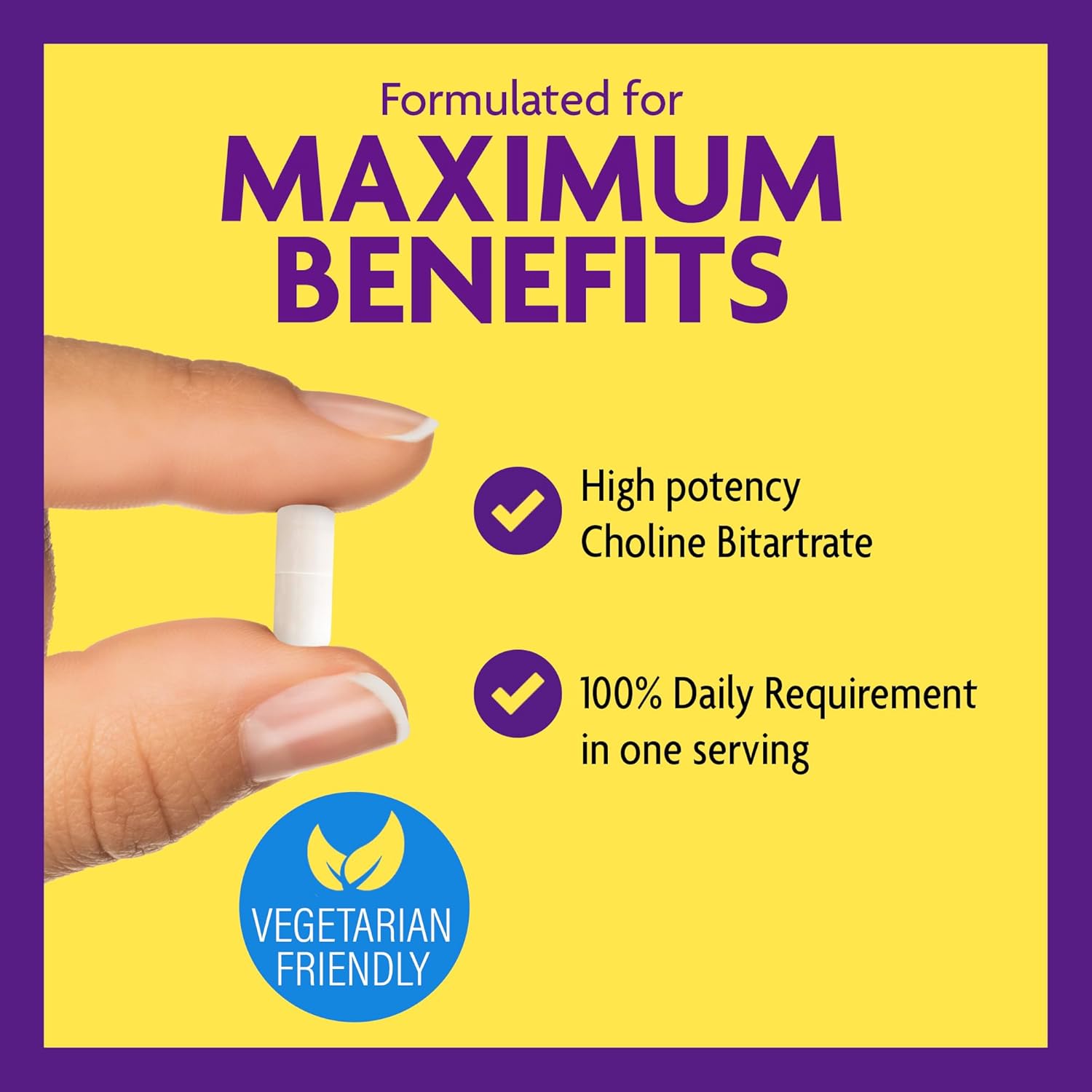 Choline & Mood Probiotic Bundle - 550mg Choline Bitartrate, 100 Capsules + Mood Probiotic, 60 Capsules - Memory & Brain Health Support.