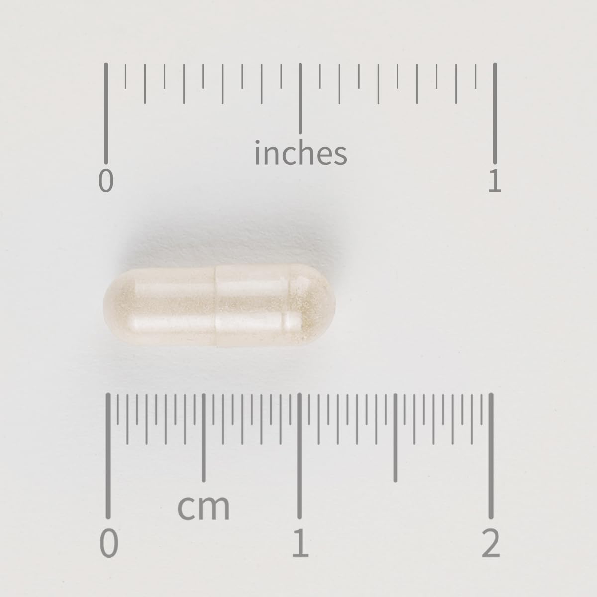 Chondroitin Glucosamine Capsules for Joint Support and Cartilage Regeneration - 120 Count