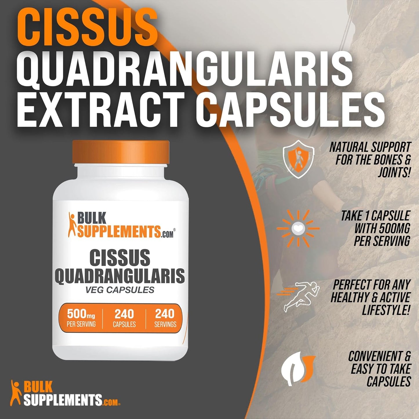 Cissus Quadrangularis Extract Capsules - 240 Vegetarian Capsules, Gluten-Free - BulkSupplements.com