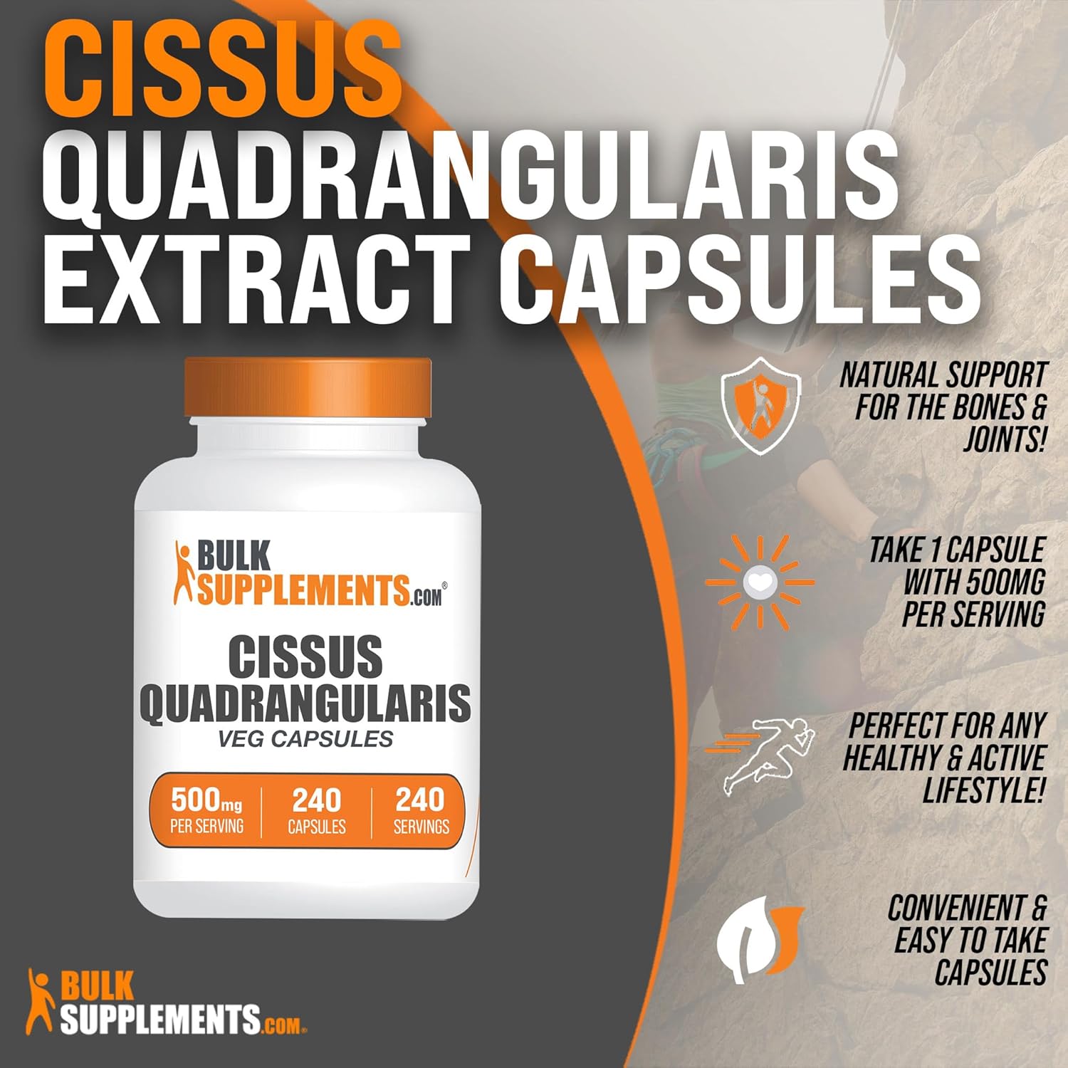 Cissus Quadrangularis Extract Capsules - 240 Vegetarian Capsules, Gluten-Free - BulkSupplements.com