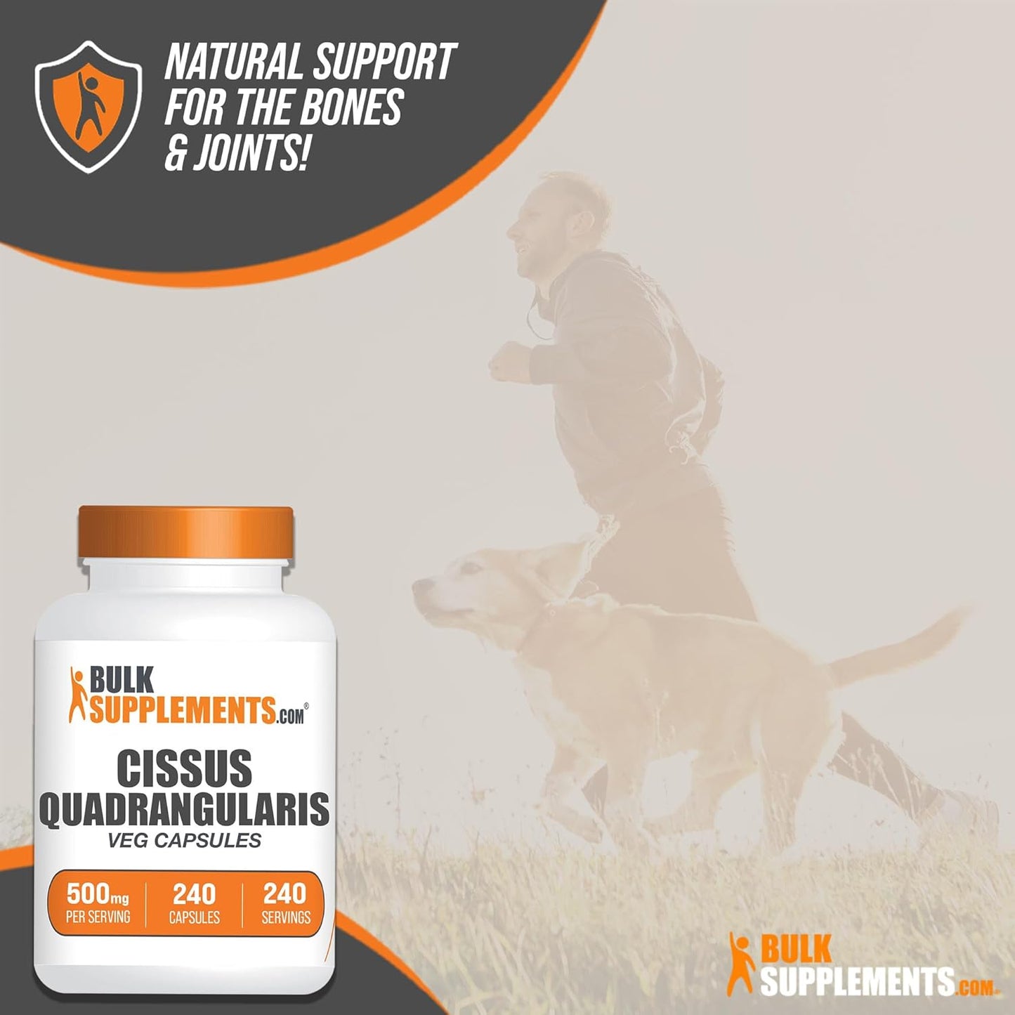 Cissus Quadrangularis Extract Capsules - 240 Vegetarian Capsules, Gluten-Free - BulkSupplements.com